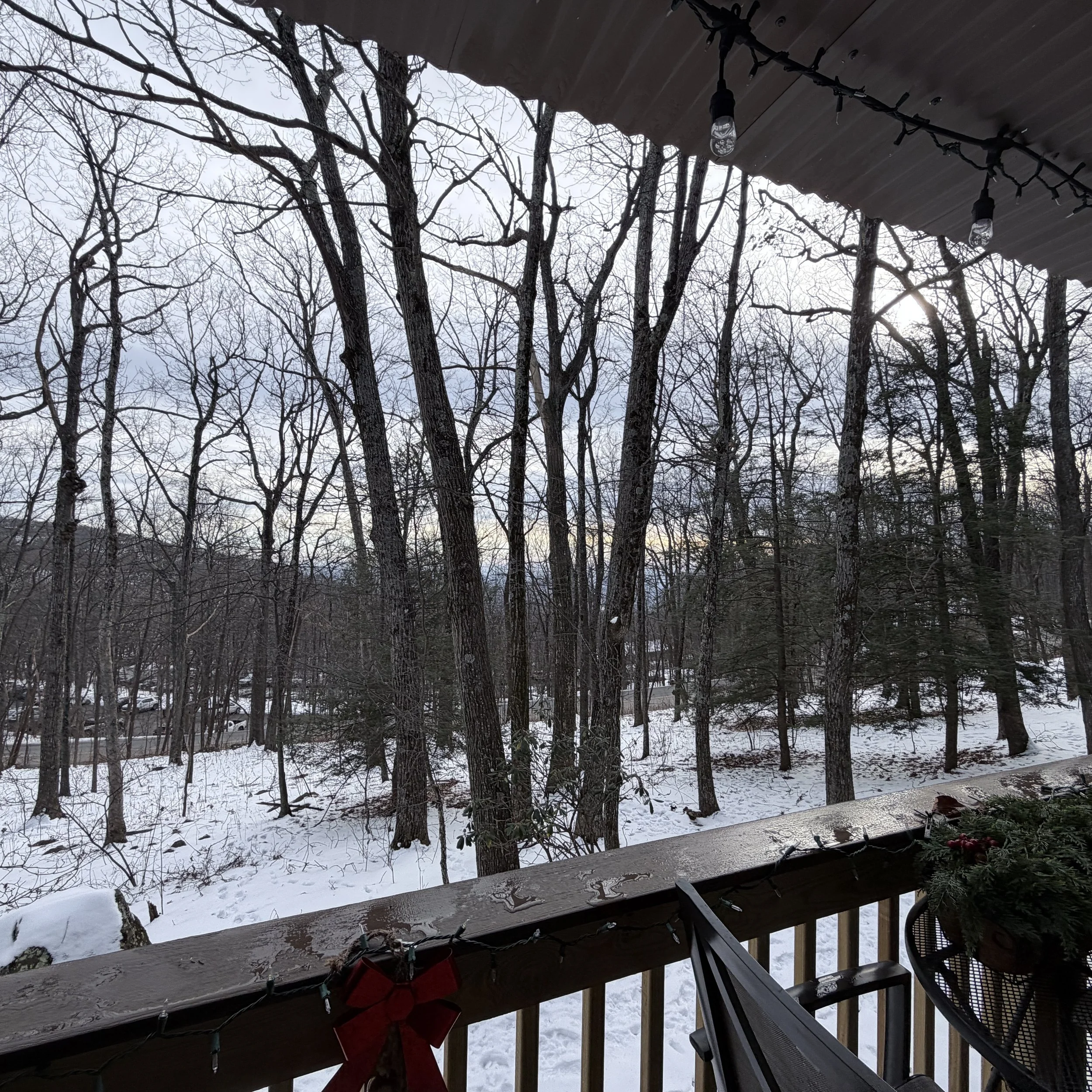 View from a porch overlooking a snowy forest with leafless trees and overcast sky.