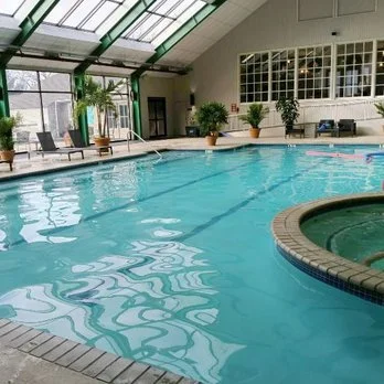 Indoor swimming pool with lounge chairs and potted plants