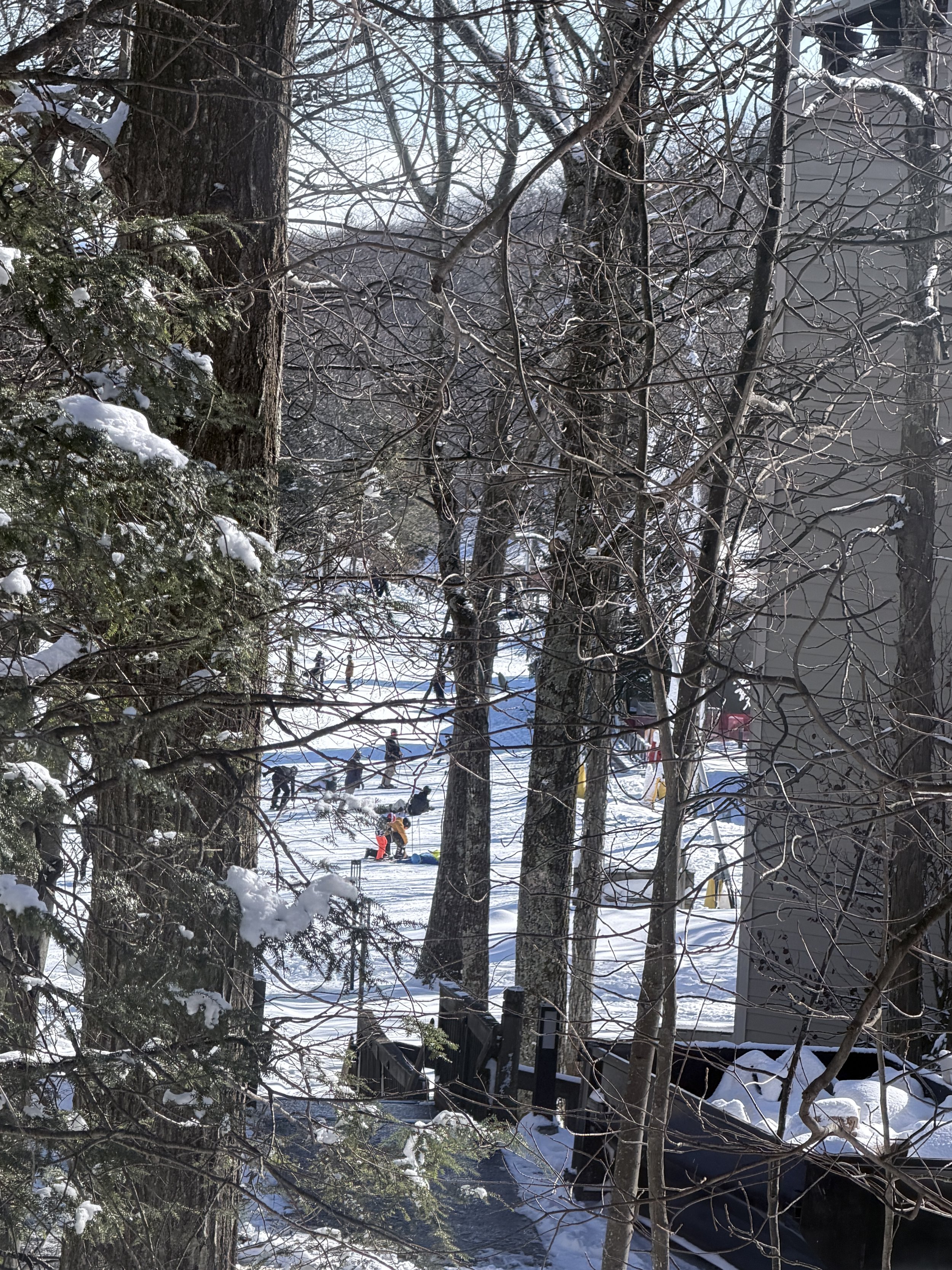 Snow-covered park area with people ice skating and snow tubing, trees without leaves, and a building on the right.