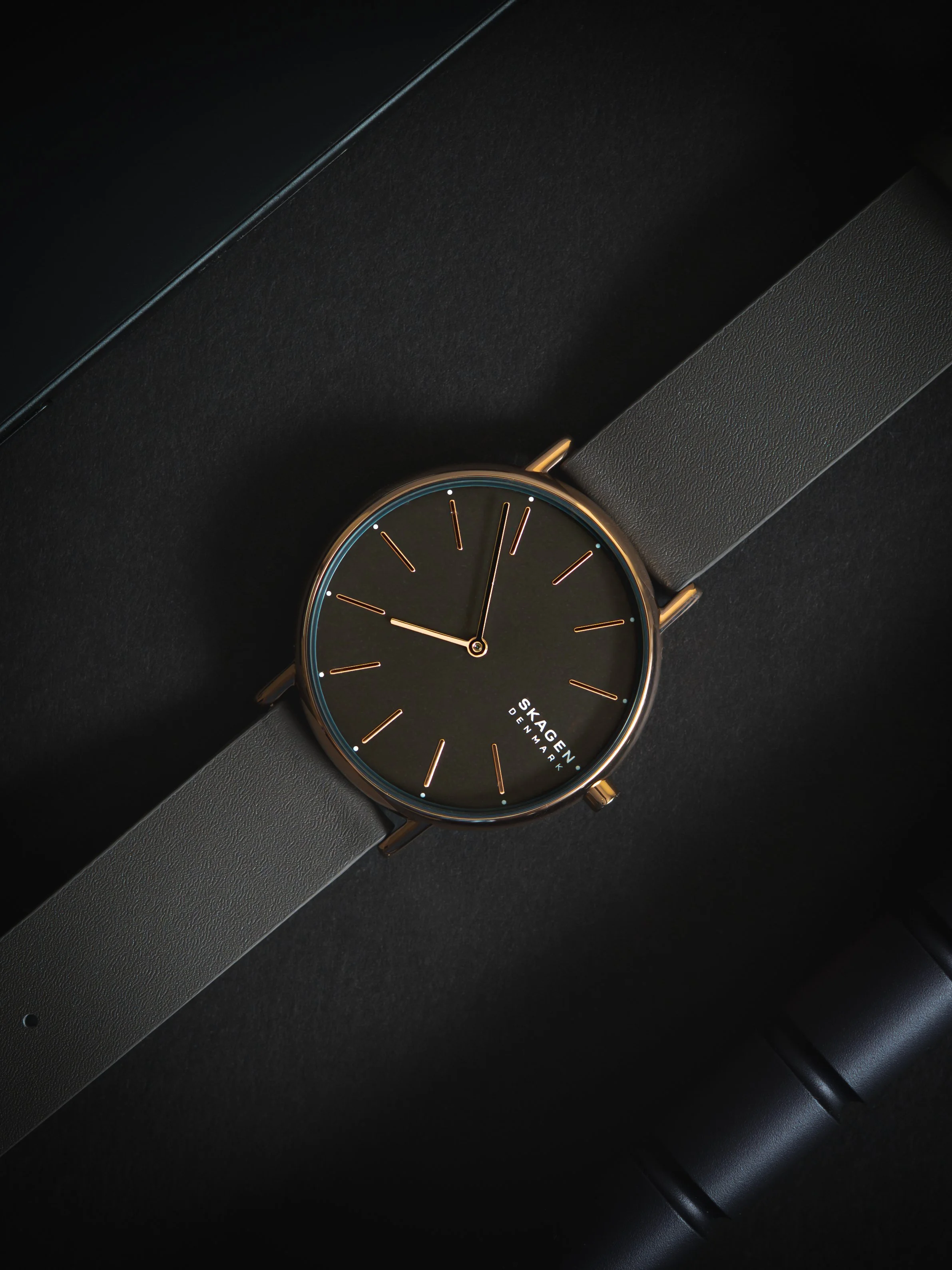Skagen Watch