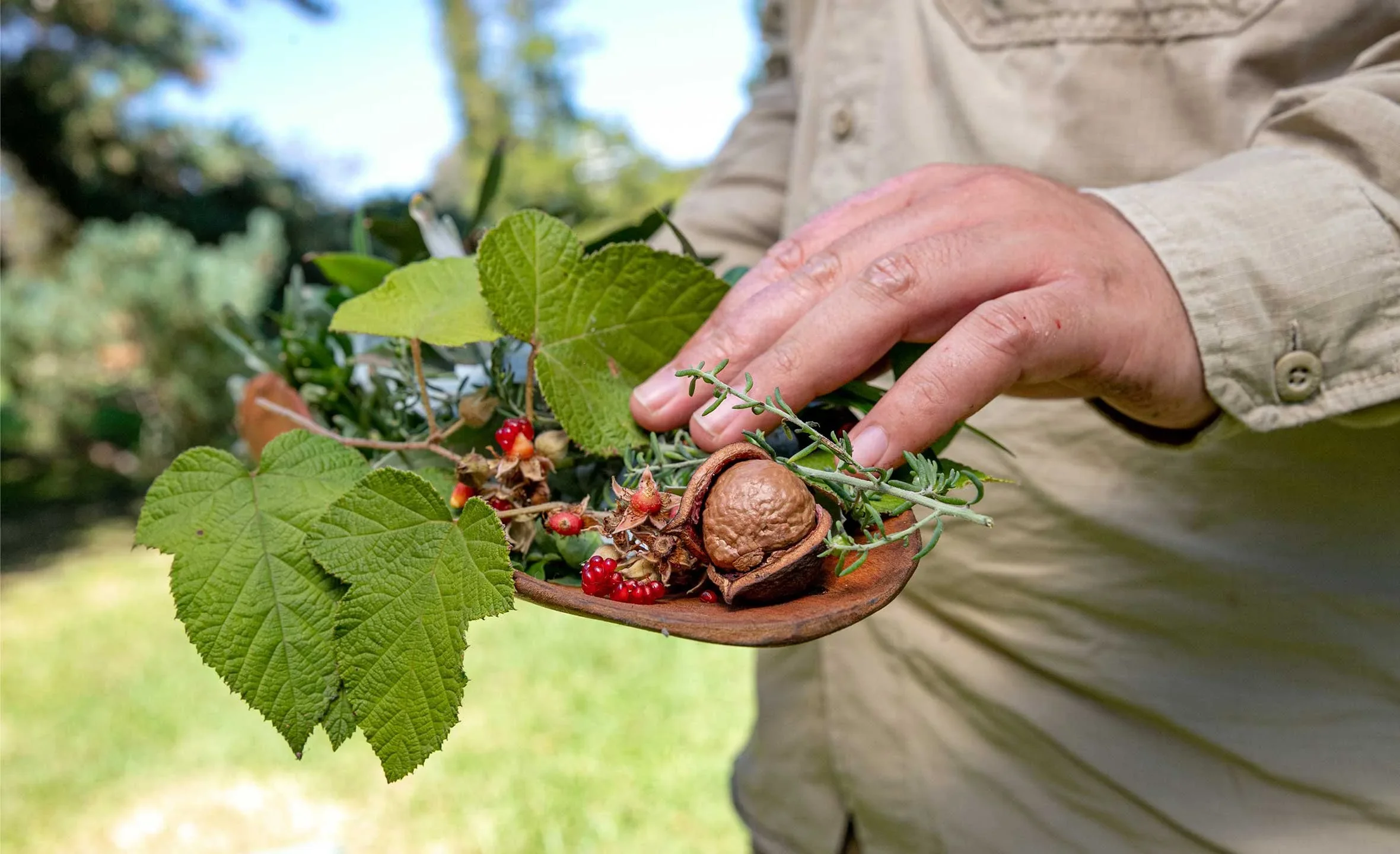Person holding a wooden spoon with freshly picked wild berries, nuts, and green leaves outdoors.