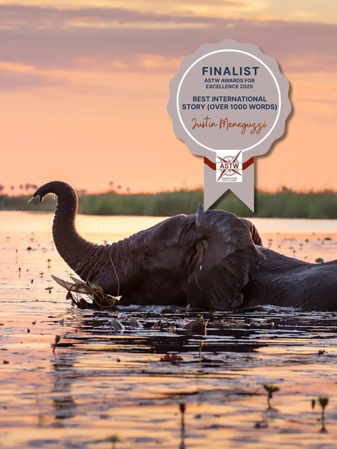 Off the back of yesterday&rsquo;s exciting news that I&rsquo;m a finalist for Travel Writer of the Year, I&rsquo;ve also learned I&rsquo;m a finalist for another 4 different categories!

🐘 BEST INTERNATIONAL STORY OVER 1000 WORDS
&ldquo;A place wher
