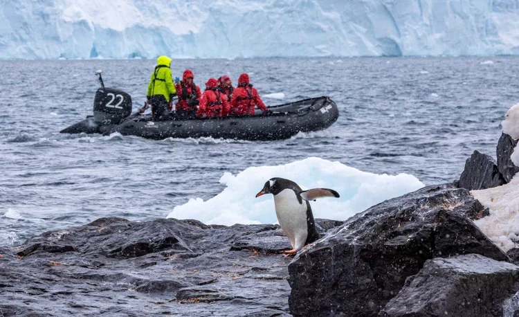 A penguin standing on rocks by icy water with a boat carrying tourists in the background and a glacier.