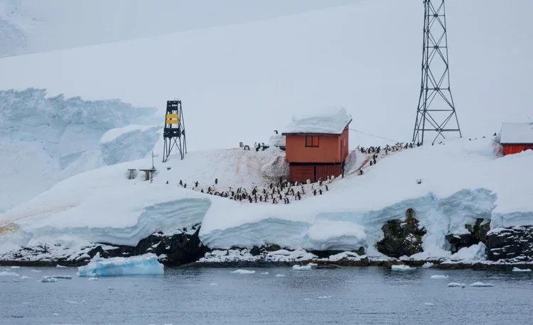 A snowy Antarctic landscape with a research station, penguins, and icebergs in the water.