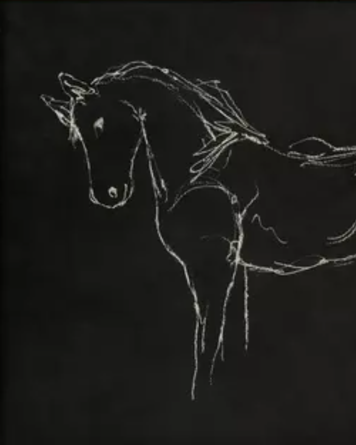 Line drawing of a horse on a dark background.