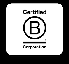 What's Changed with B Corp Certification: A Guide to New Standards