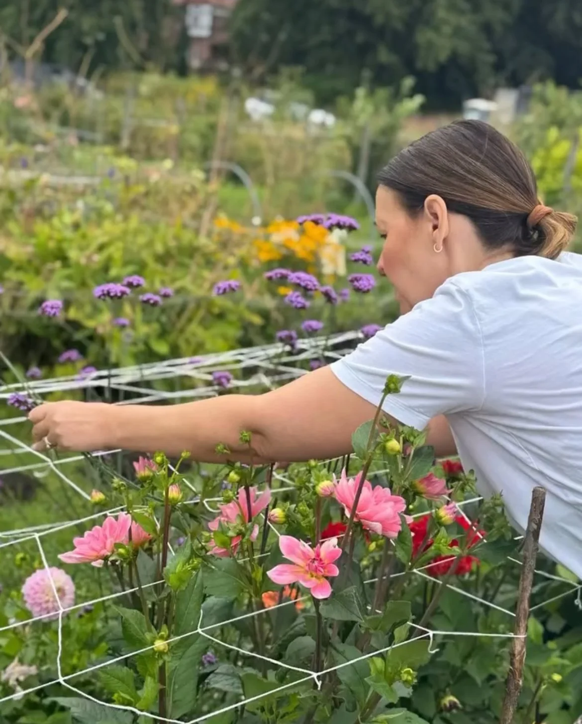 Carol Peacock, Cut flower florist/farmer