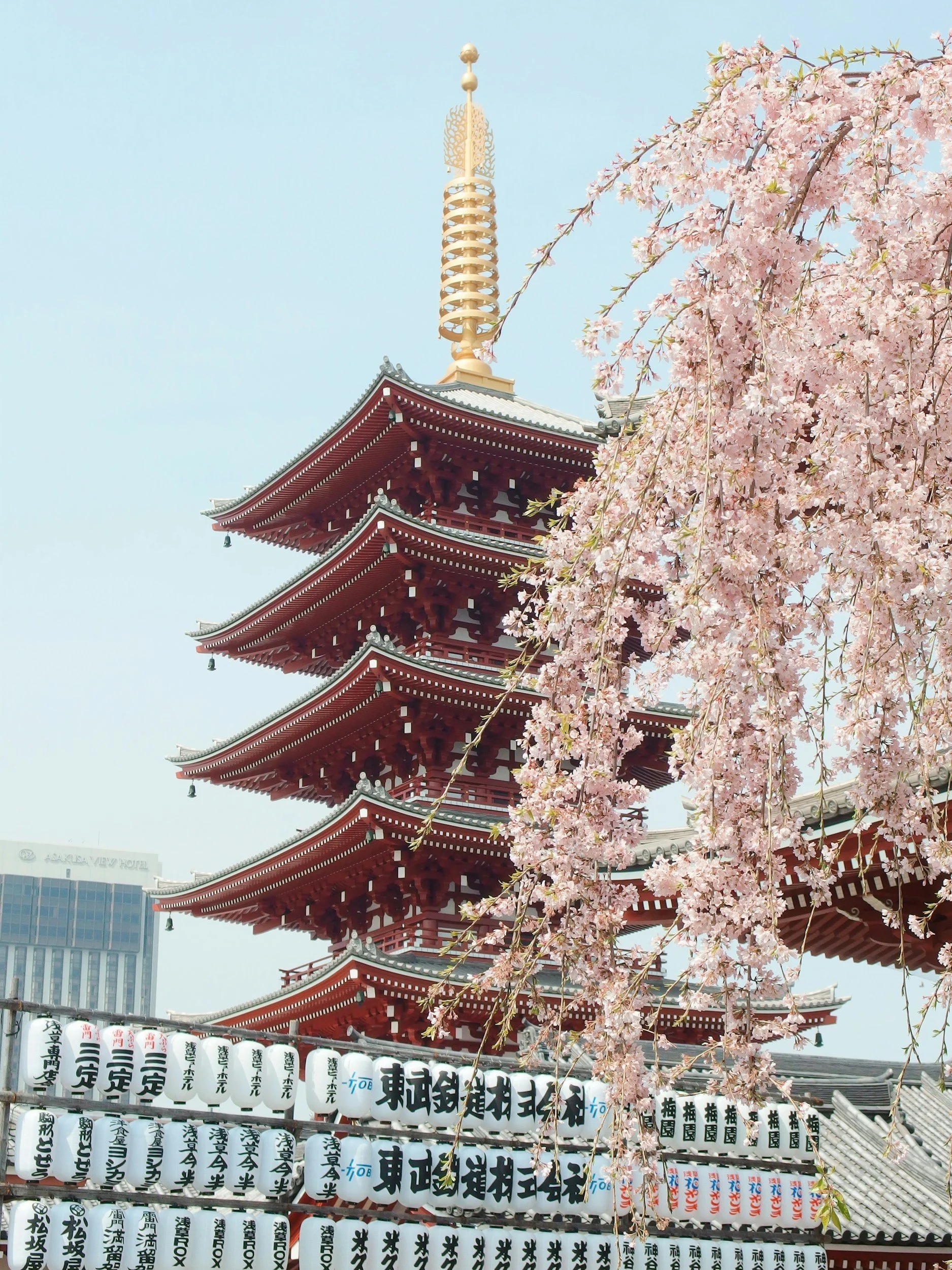 Red five-story pagoda with tiered eaves amidst cherry blossom trees in bloom, in a Japanese temple setting.