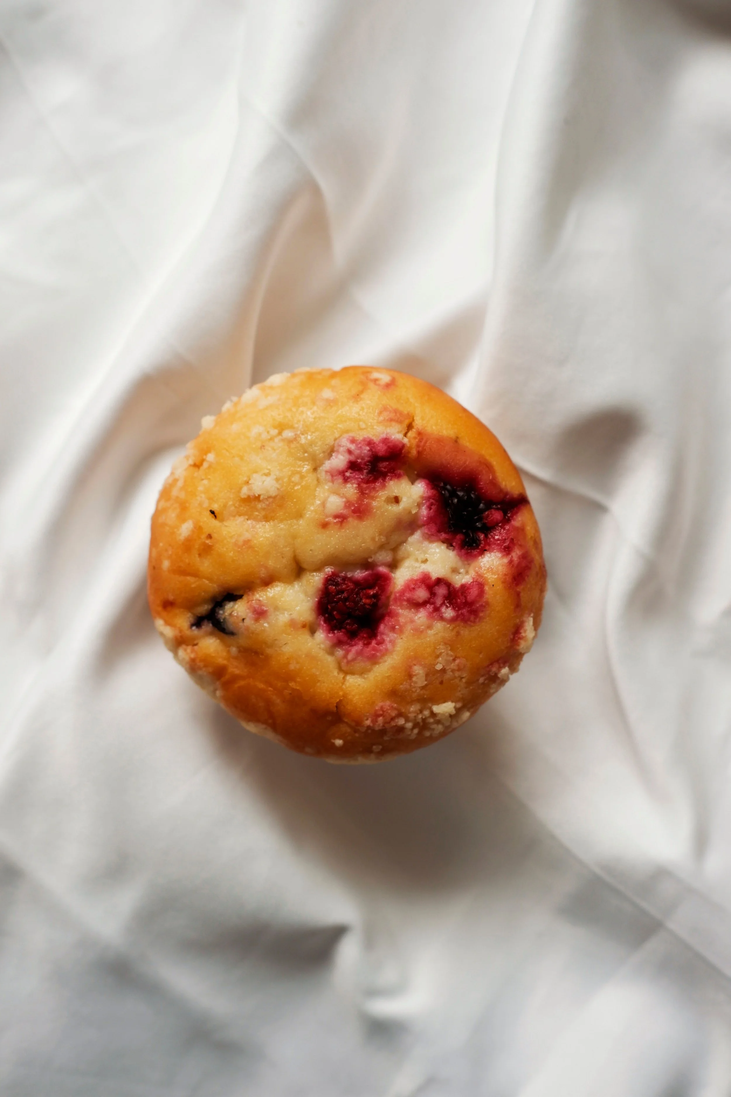 Blueberry Muffin