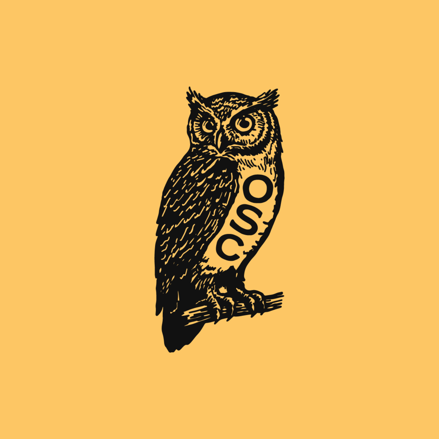 Squarespace Product Graphic (2).png