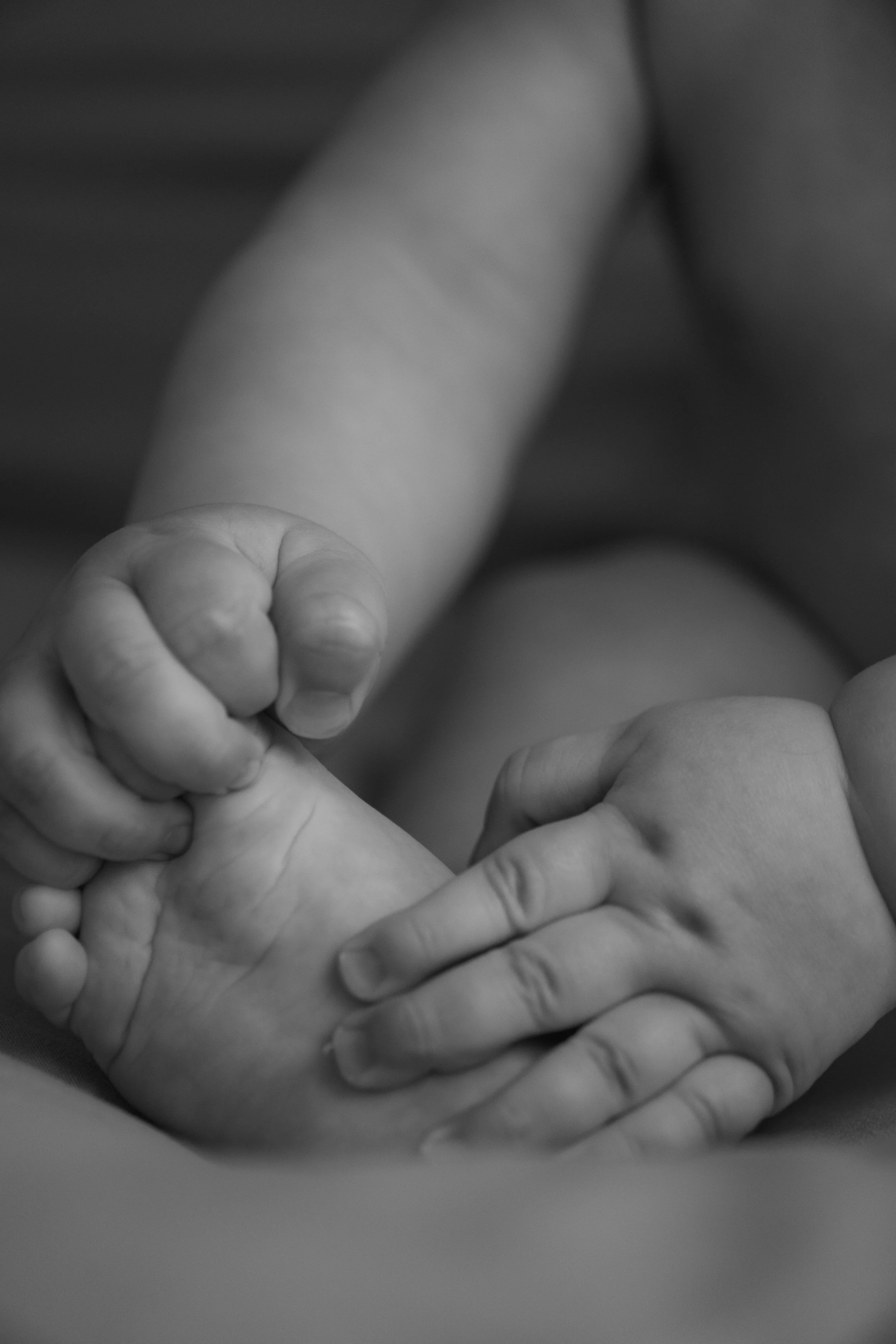 Mano de un adulto sosteniendo la mano de un bebé.