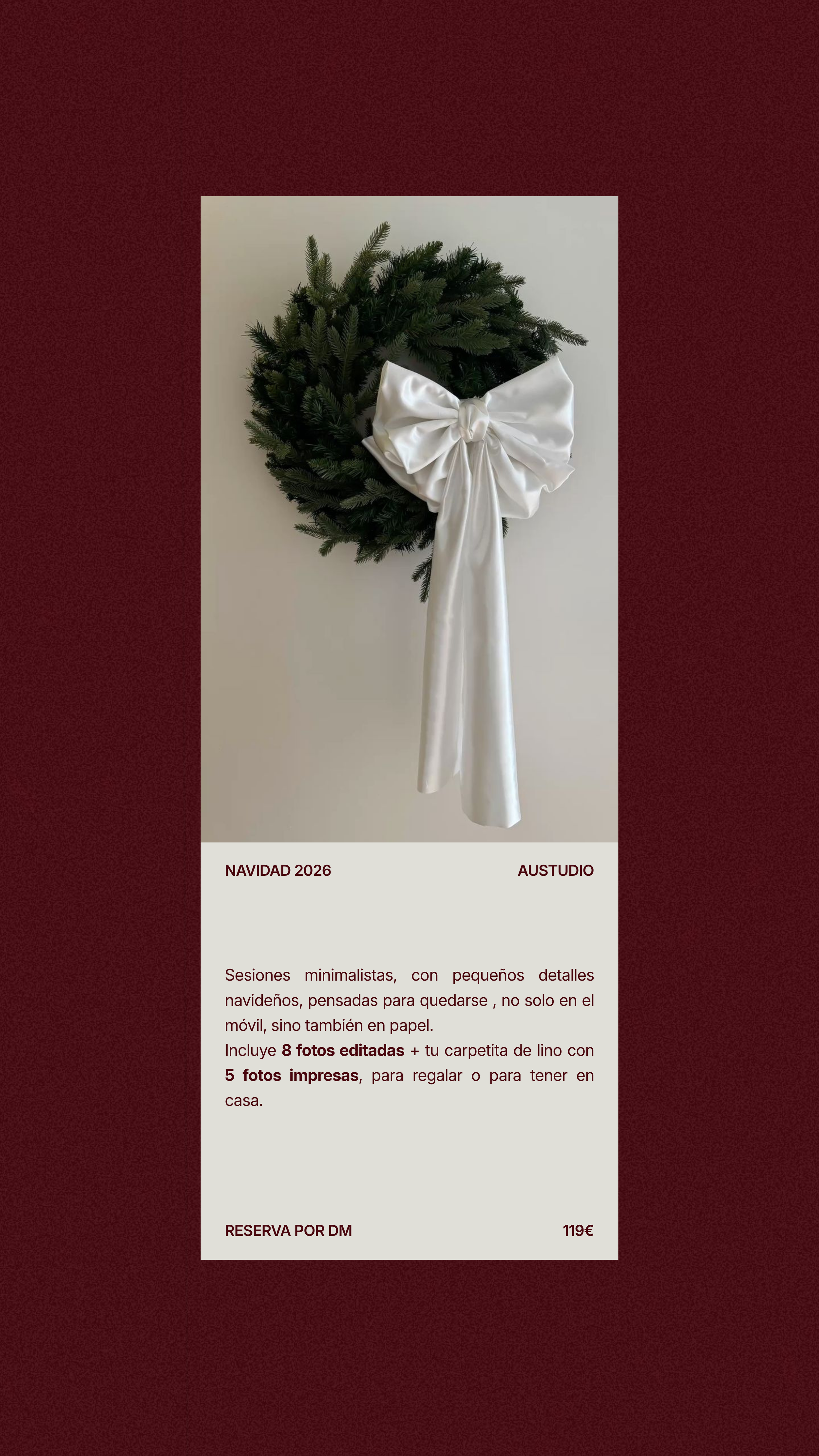 navidad 2 austudio.PNG