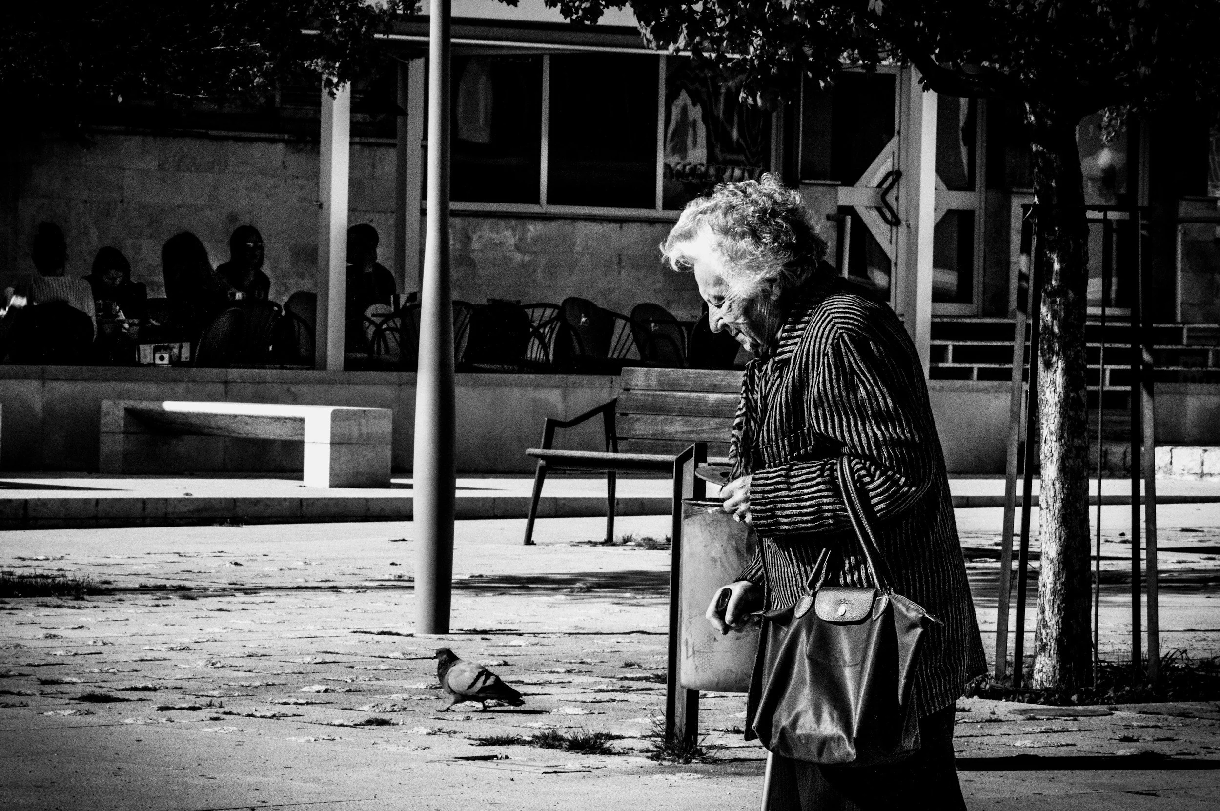 Portugueses cada vez mais sozinhos — Porto Canal