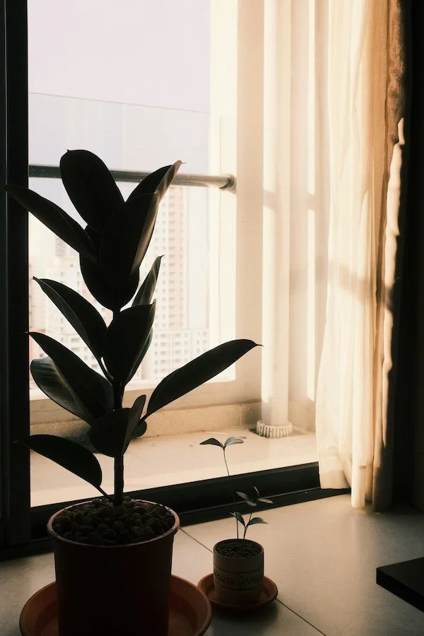 The Hindsight is a Privlege of Healing