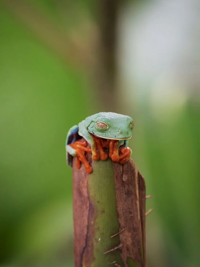 DSC06471-DxO_DeepPRIME 3-2.jpg