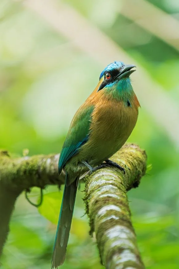 DSC06549-DxO_DeepPRIME 3-2.jpg