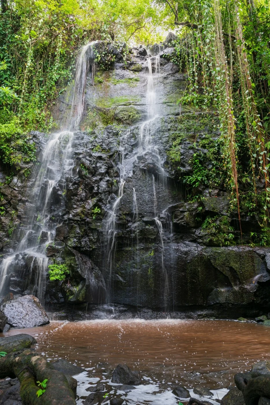 DSC06435-2.jpg