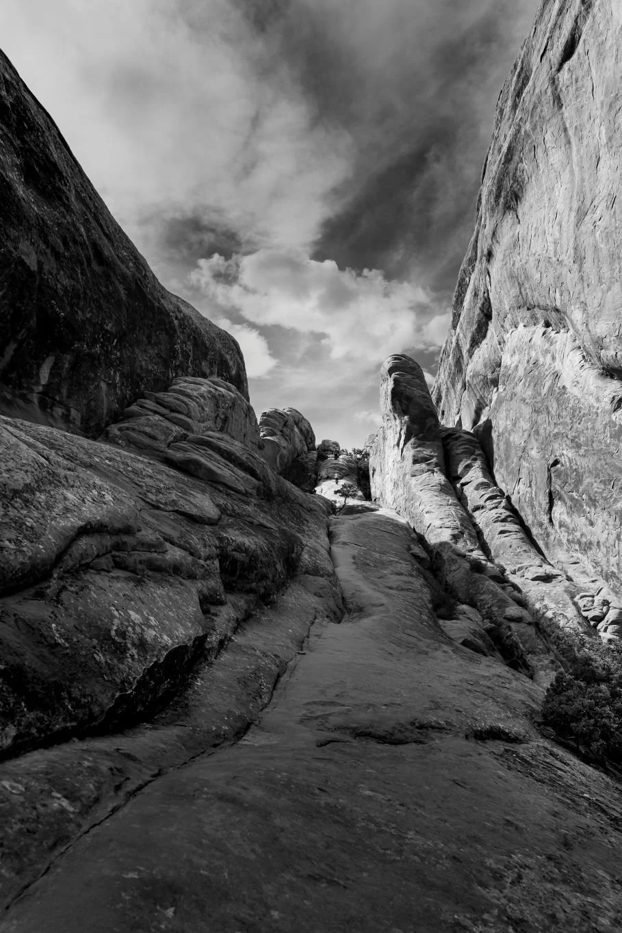 DSC06236-2.jpg