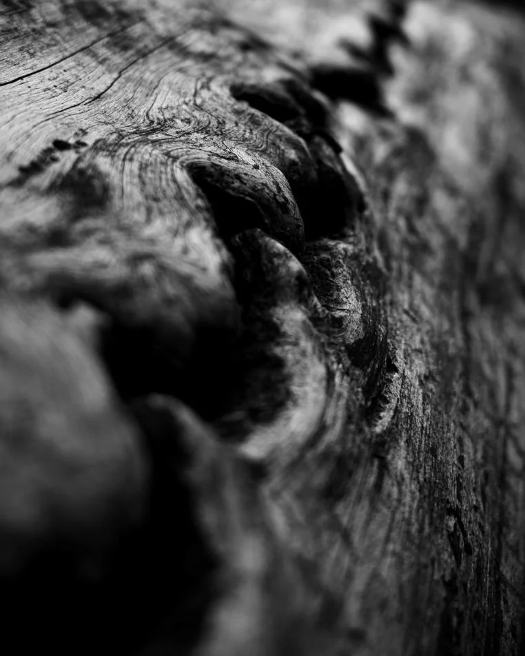 _DSC0450.jpg