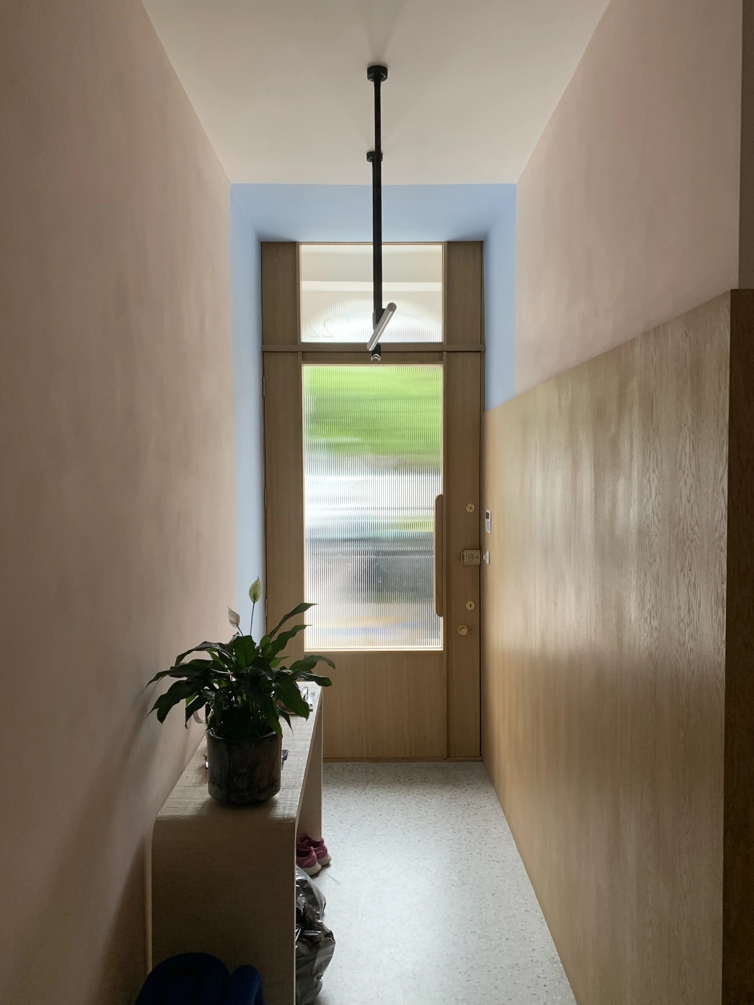 A narrow hallway with pink and wood-paneled walls, a potted plant on a small wooden table, and a wooden front door with textured glass windows and a sidelight, seen from inside the house.