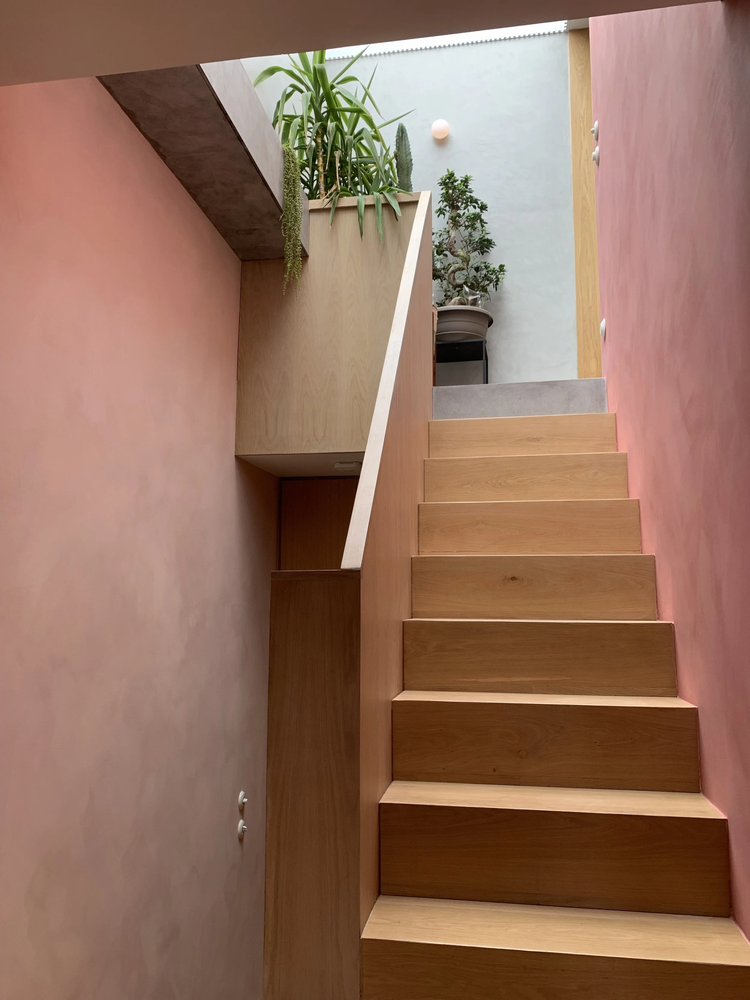 View of a modern staircase with wooden steps and pink walls, leading to an upper level with potted plants and a skylight.