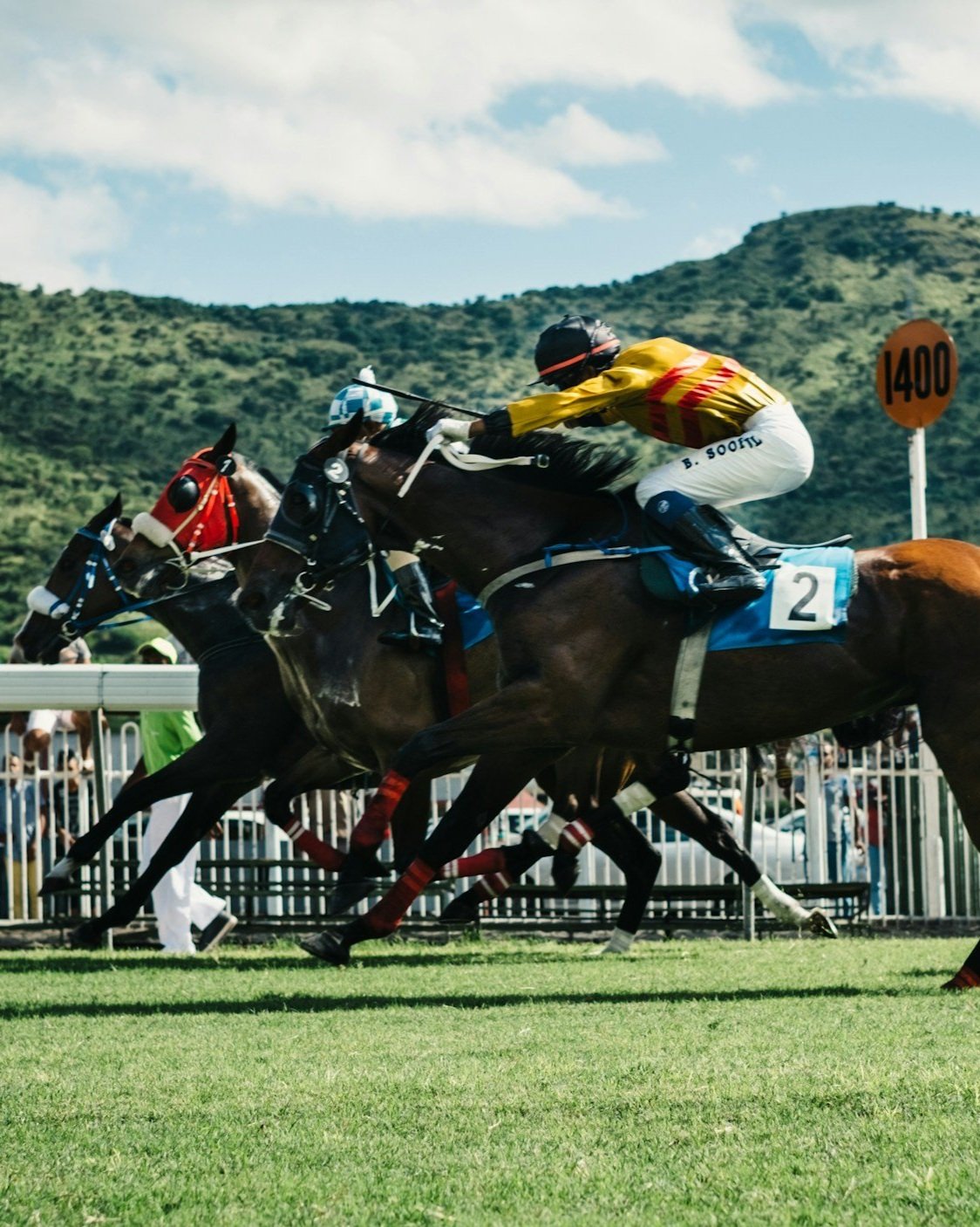 Two racehorses with jockeys competing in a race on a grassy track, with spectators and a hilly landscape in the background.