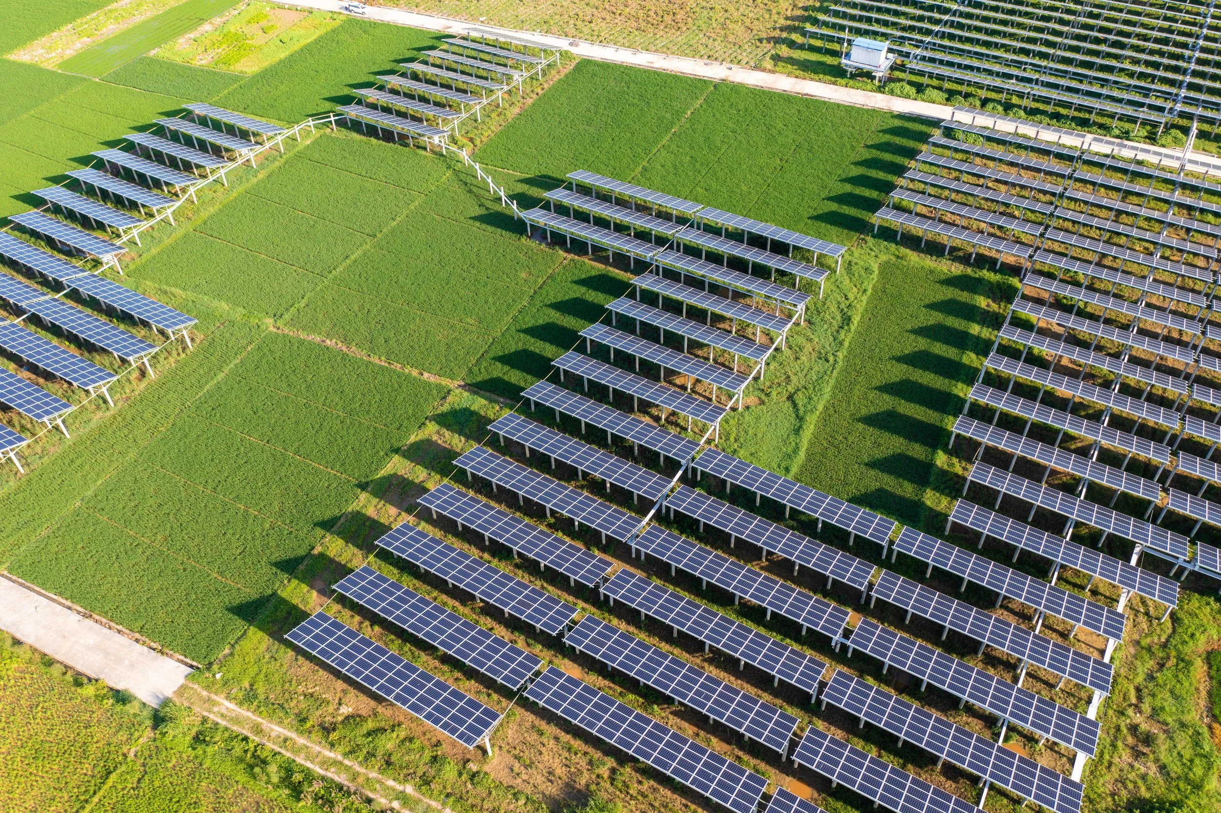 solar-energy-2025-04-02-16-01-17-utc (1).jpg