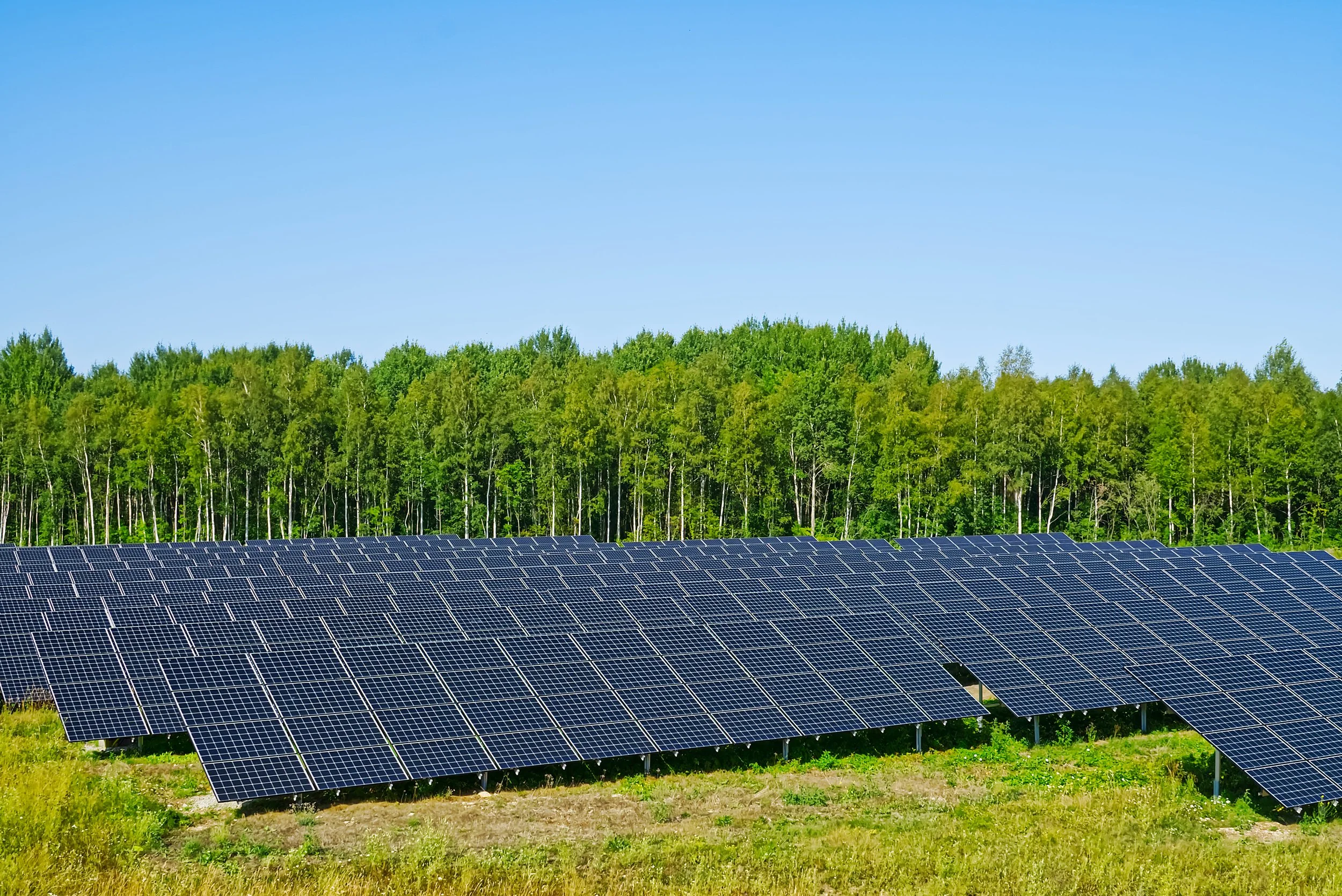 solar-power-plant-in-summer-day-photovoltaic-pane-2025-01-09-12-16-20-utc (1).jpg