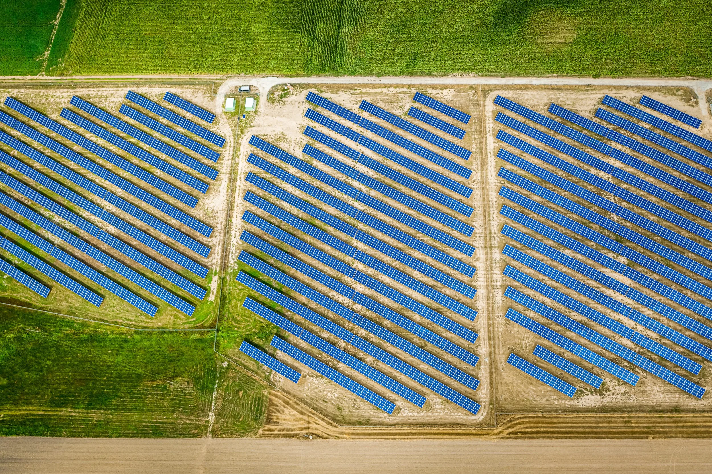big-and-blue-solar-panels-in-sunny-day-aerial-vie-2025-03-24-08-04-16-utc (1).jpg