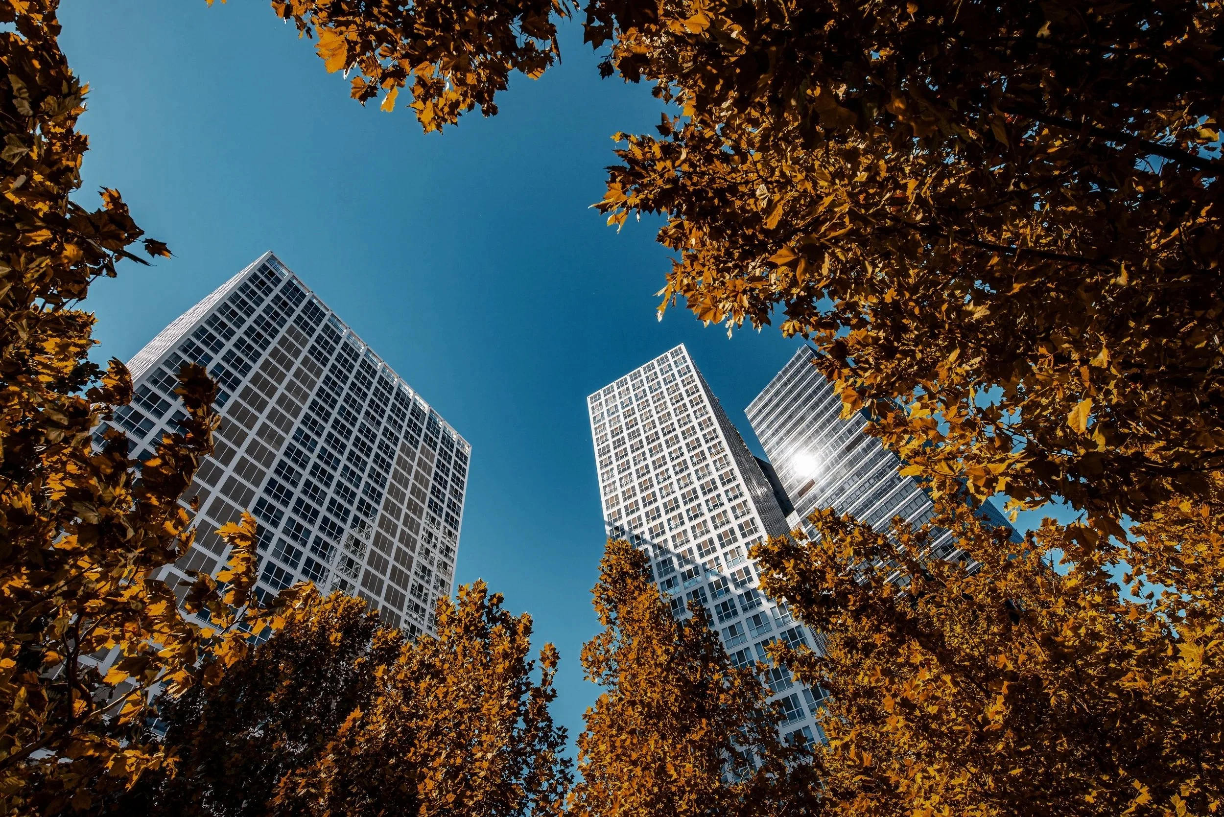 A lighthouse standing on a rocky shoreline with a house nearby, overlooking the ocean at sunset.