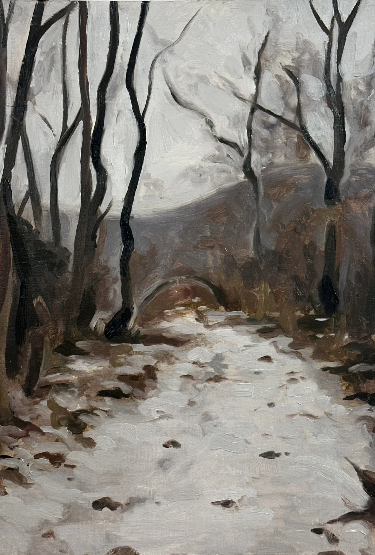 Wisconsin Woods // 7"x10 1/2" // Oil on Paper // January 6th, 2026