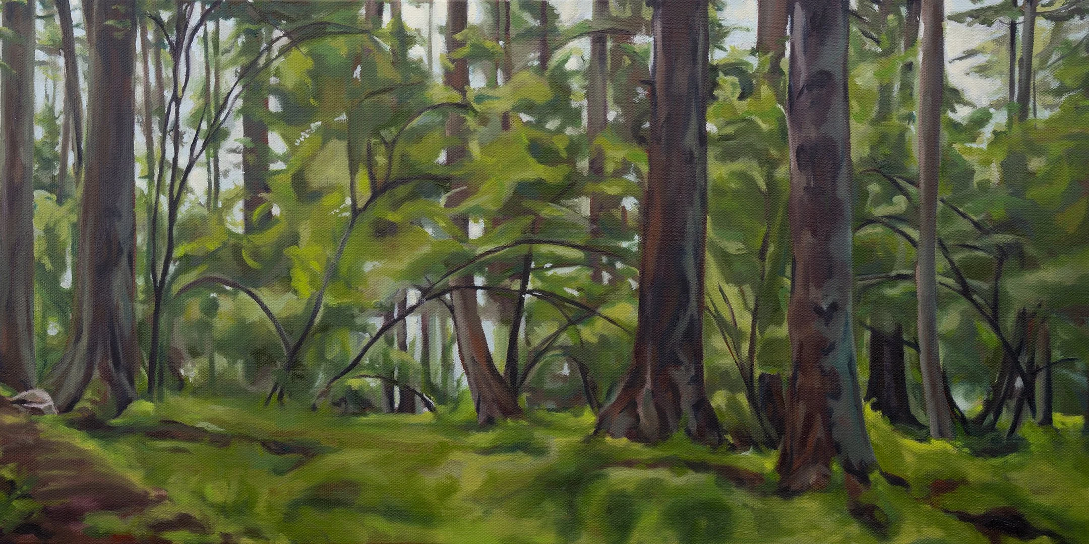 Right Side of the Tent // 12"x24" // Oil on Canvas // 2024 // Inspired by camping in Washington Park, Anacortes