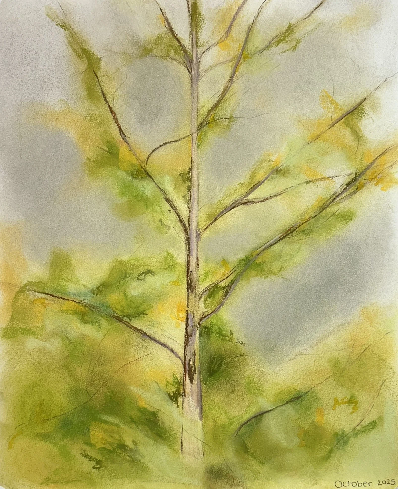 Backyard Tree (3) // 14"x17" // Chalk Pastel on Paper // October 2025