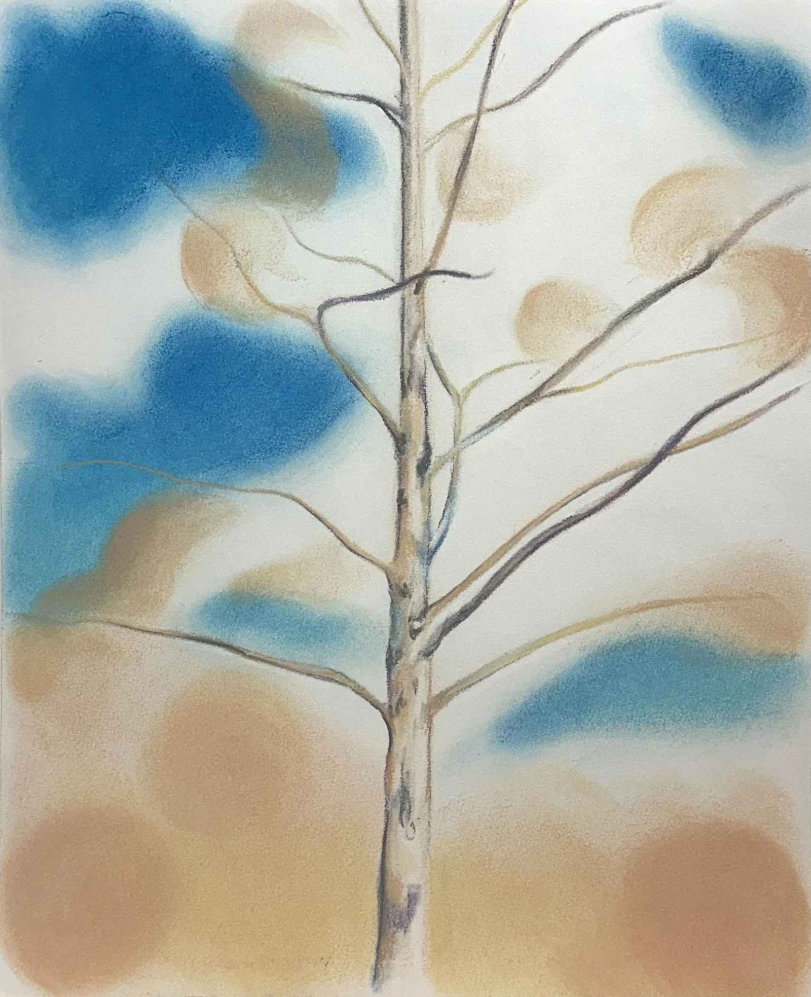 Backyard Tree (9) // 14"x17" // Chalk Pastel on Paper // February 2026