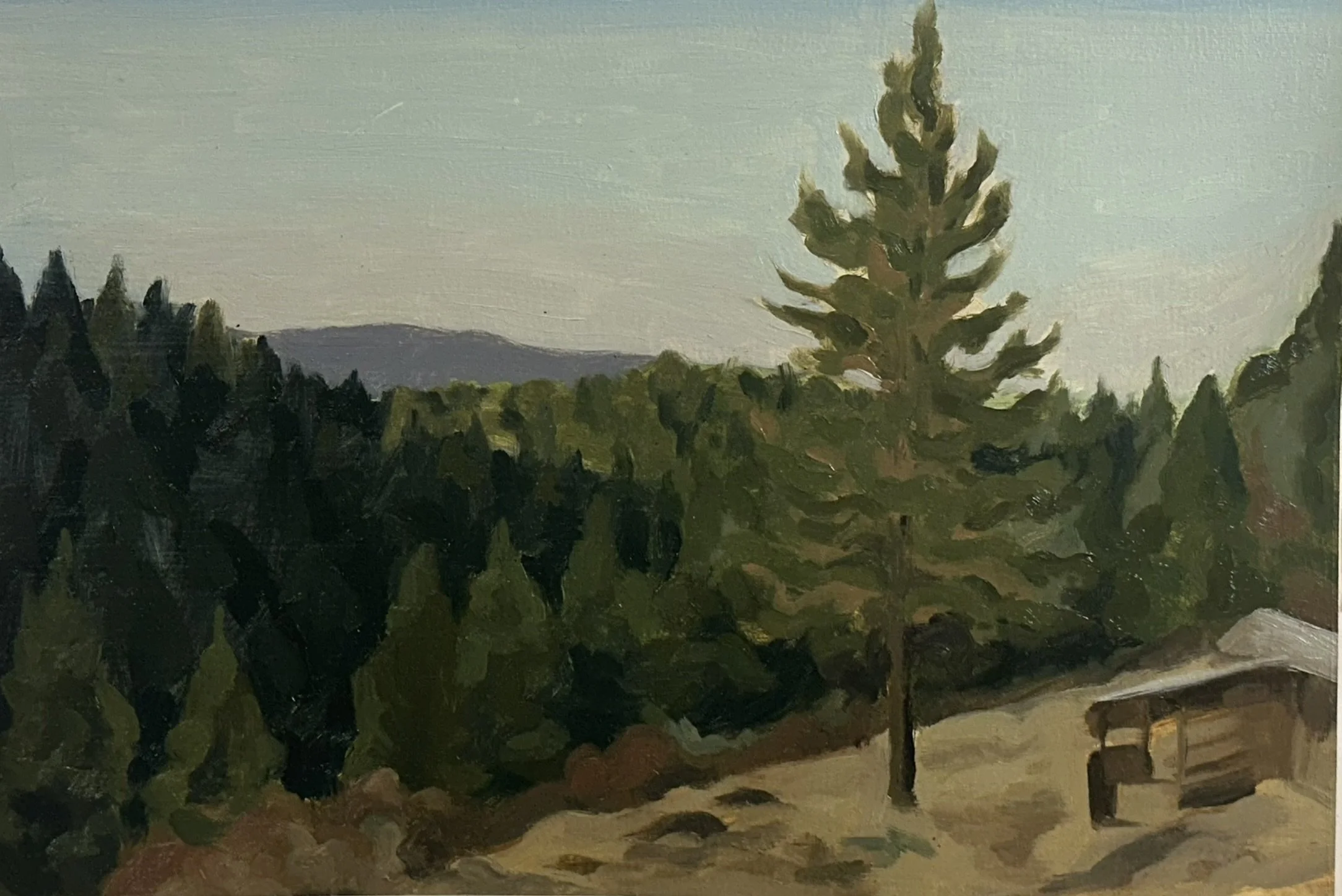 Idaho Mountain Side // 7"x10 1/2" // Oil on Paper, Study // September 18th, 2025