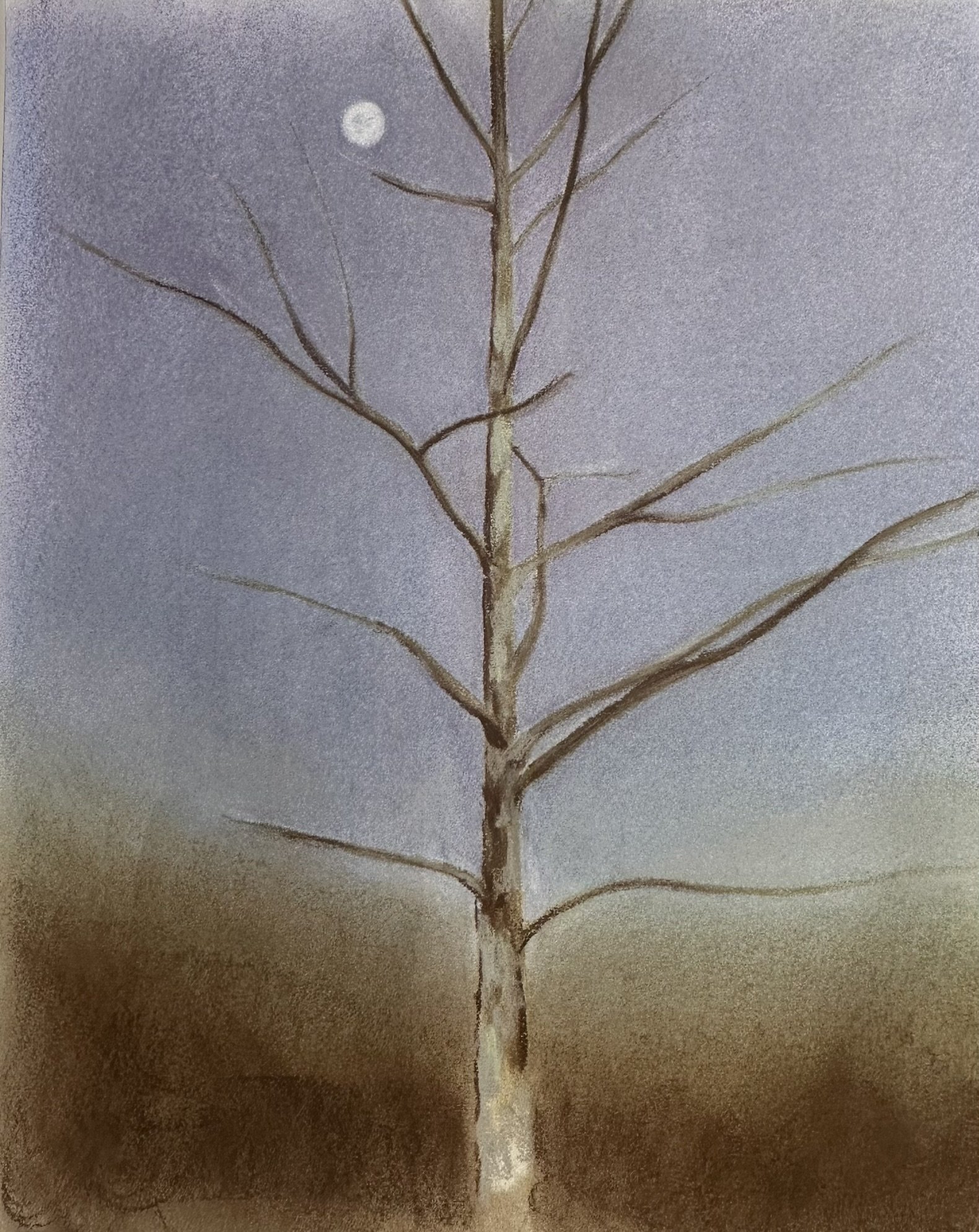Backyard Tree (7) // 14"x17" // Chalk Pastel on Paper // New Years Eve 2025