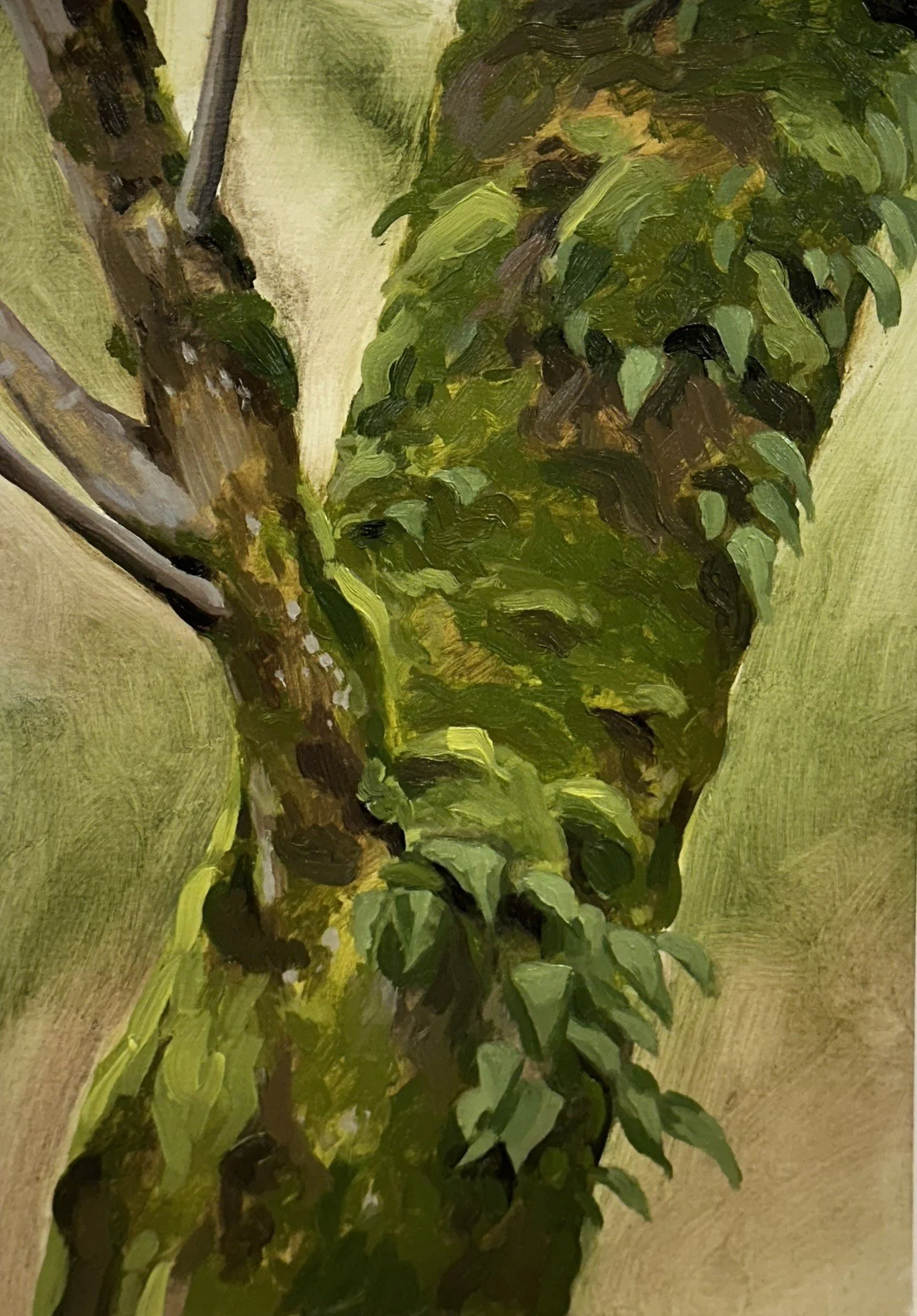 Backyard Up Close Tree // 7"x10 1/2" // Oil on Paper // January 10th, 2026