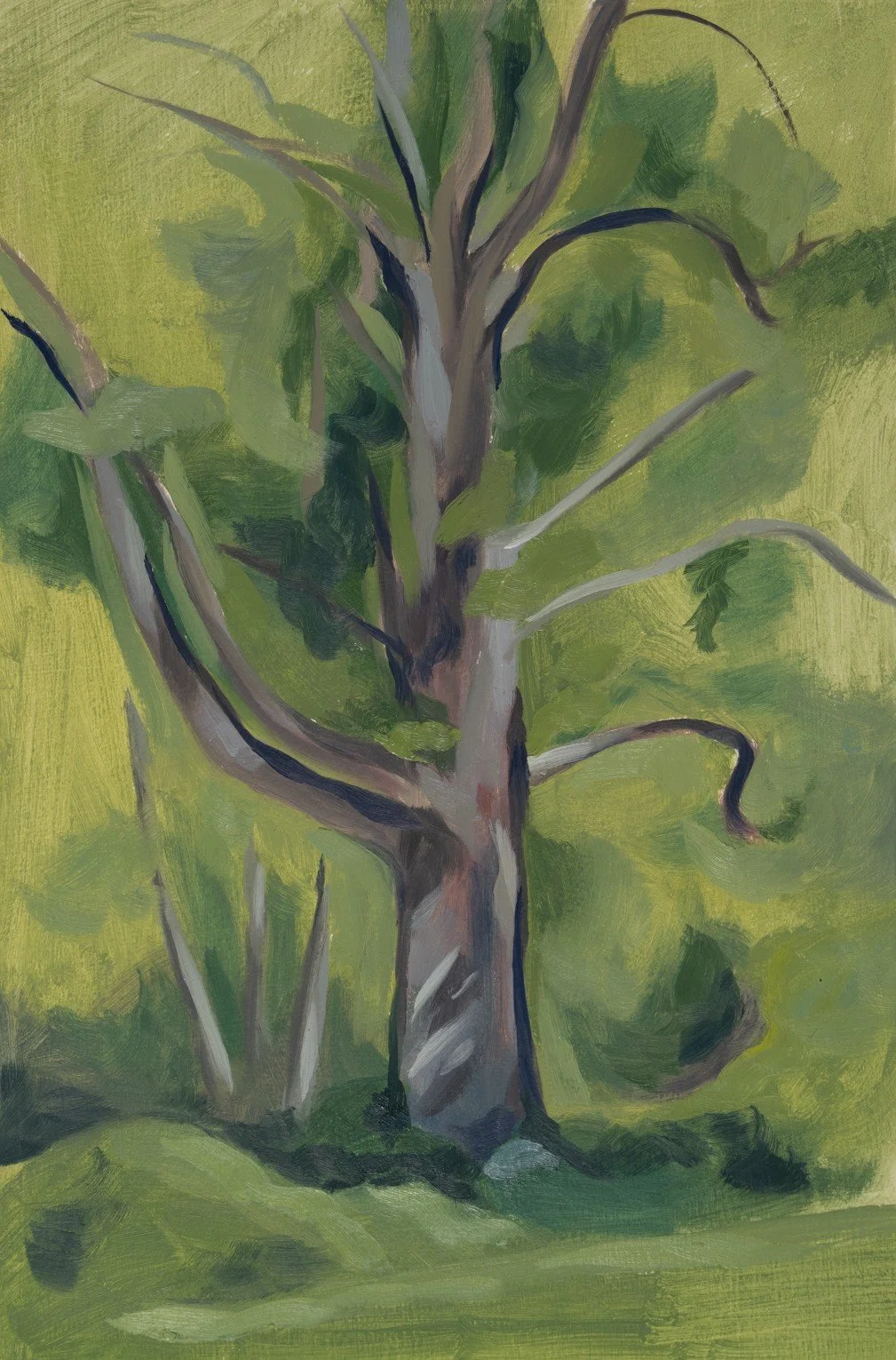 Studies for Painting 1/3, Squalicum way // 7"x10 1/2" // April 13h, 2025