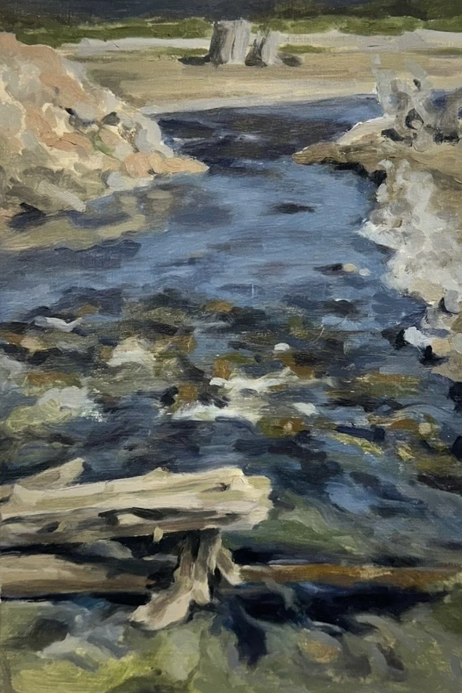 Lake Keechelus // 7"x10 1/2" // Oil on Paper, Study // August 21st, 2025