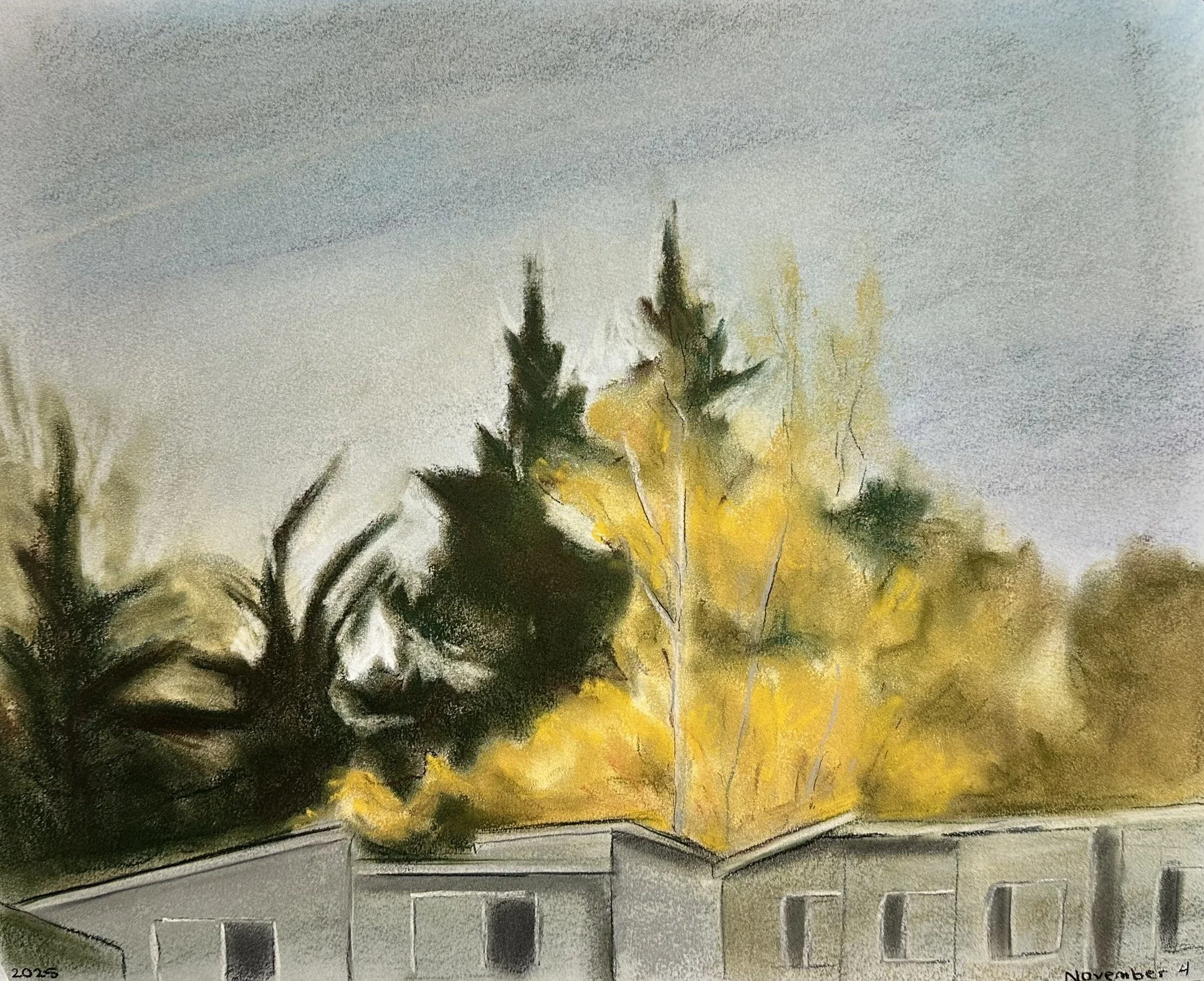Front Yard Trees
14"x17"
Chalk Pastel on Paper
November 4th, 2025
