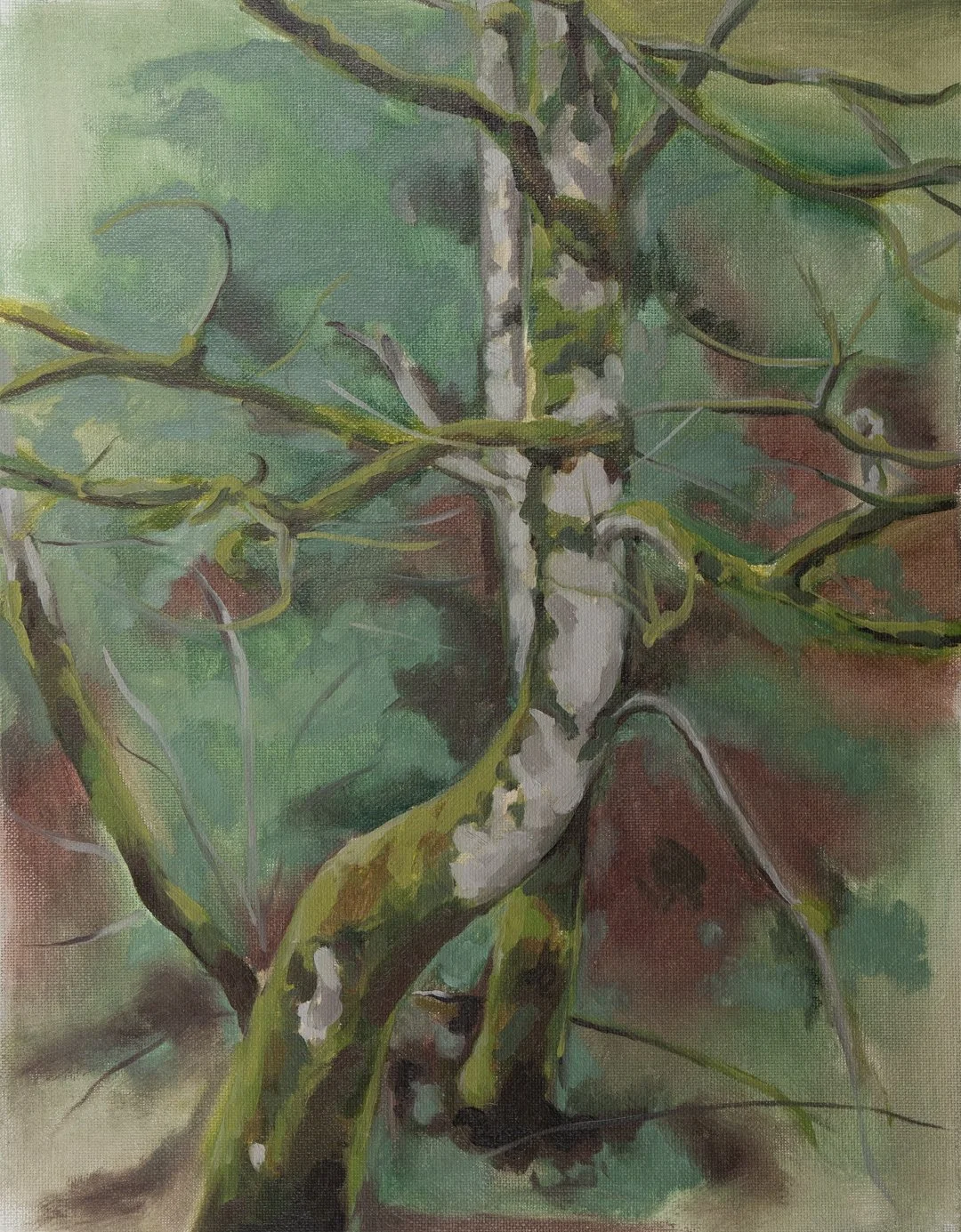 Drizzly Tree // 11"x14" // Oil on Canvas board // January 11th, 2025