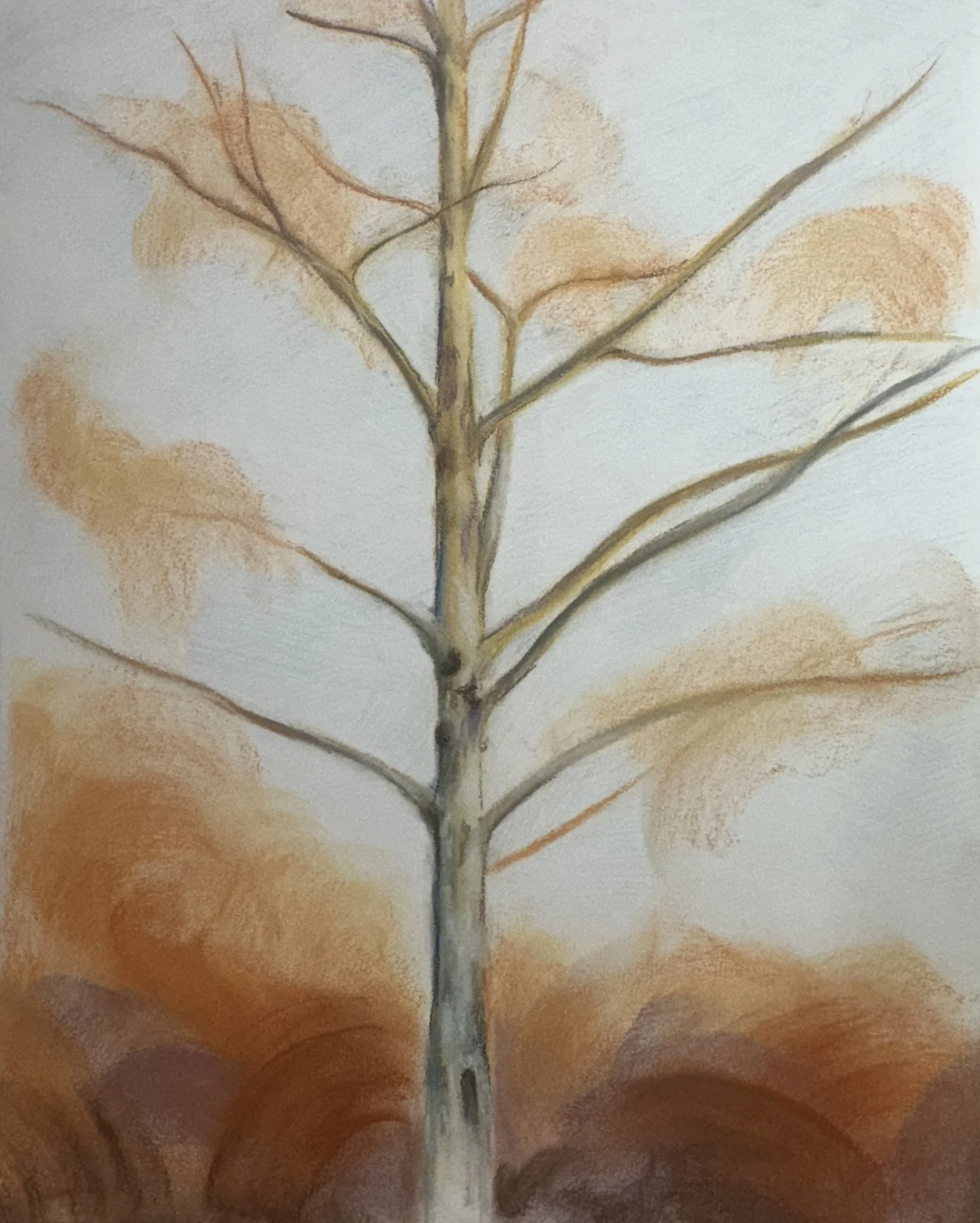 Backyard Tree (8) // 14"x17" // Chalk Pastel on Paper // January 2026