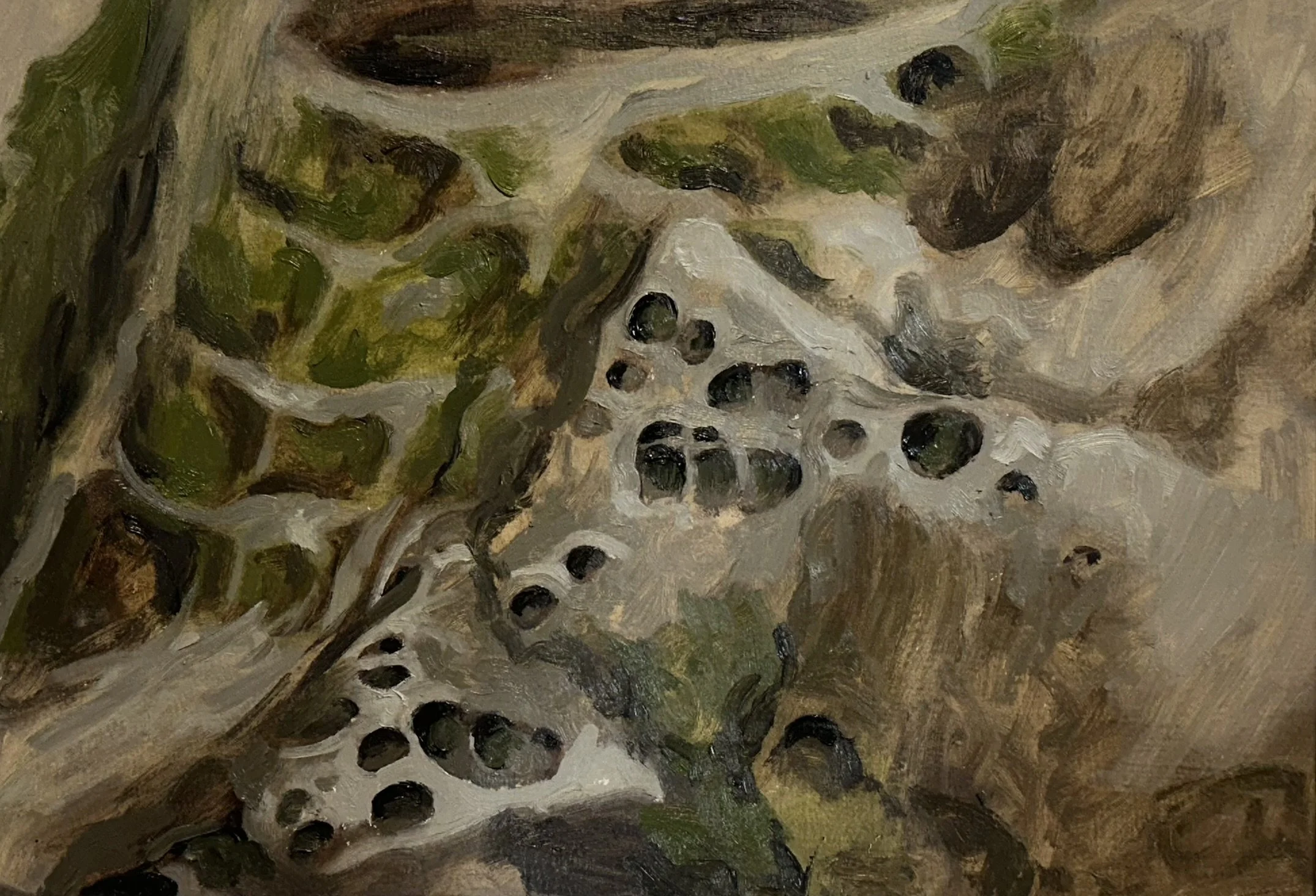 Rock Texture (Larrabee) // 7"x10 1/2" // Oil on Paper // February 25th, 2026
