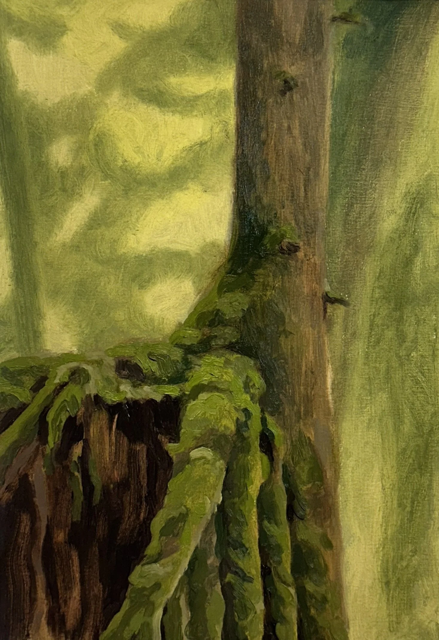 Mother Stump (Stimpson) // 7"x10 1/2" // Oil on Paper // February 15th, 2026