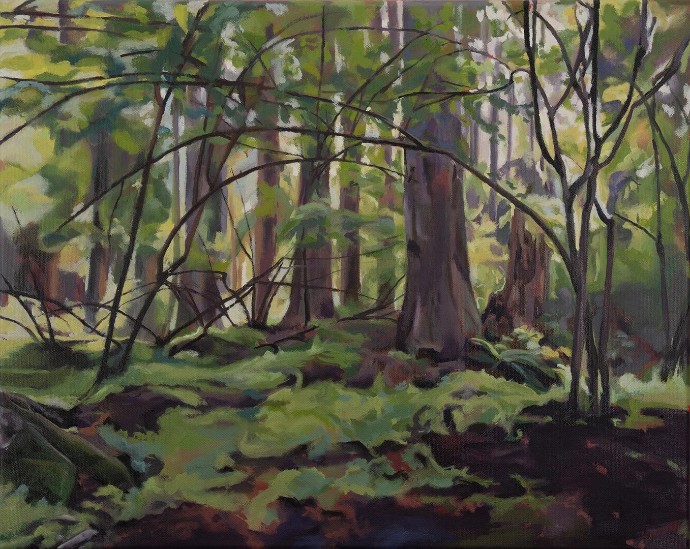Left Side of the Tent // 16"x20" // Oil on Canvas // 2024 // Inspired by camping in Washington Park, Anacortes 