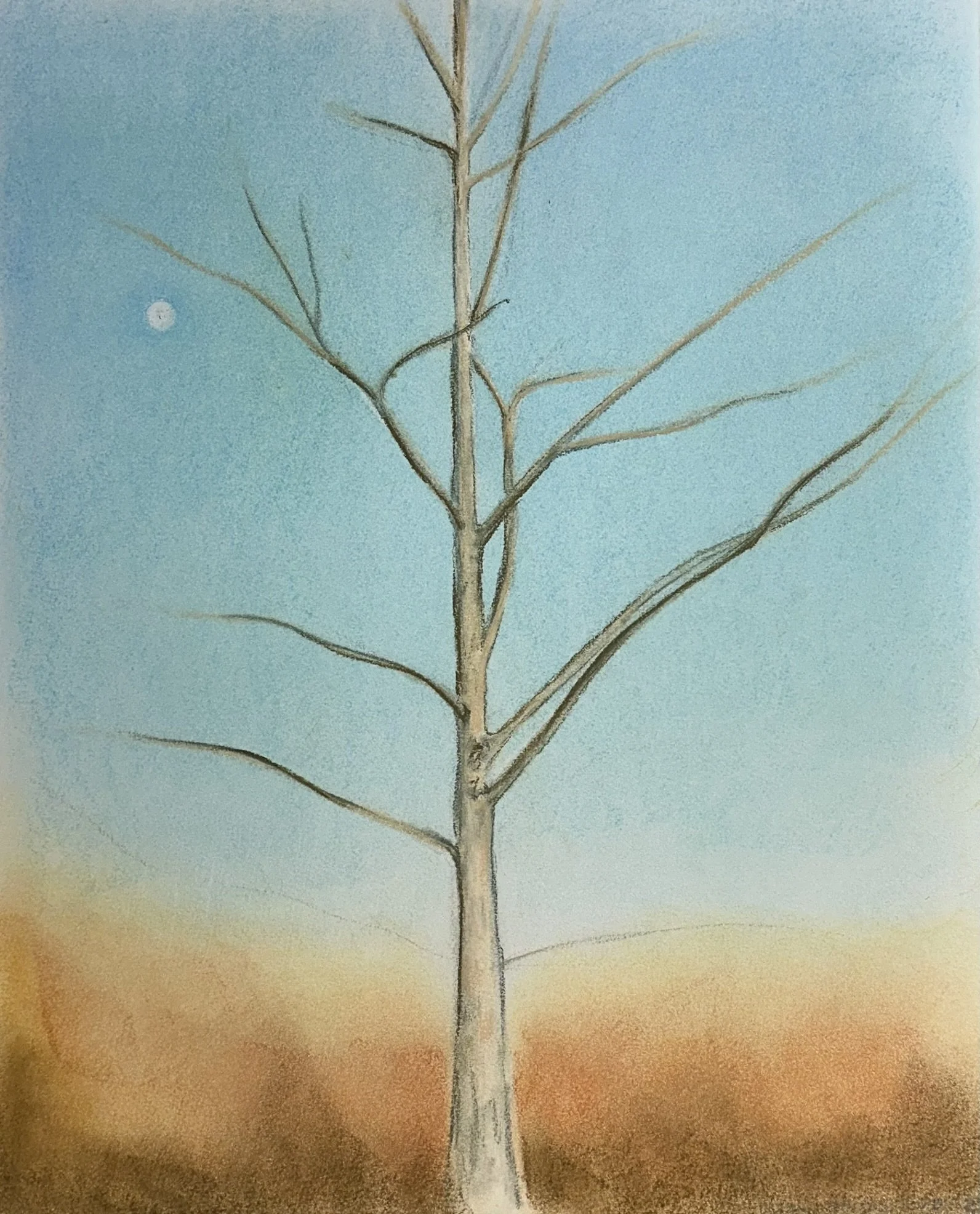 Backyard Tree (6) // 14"x17" // Chalk Pastel on Paper // New Years Eve 2025