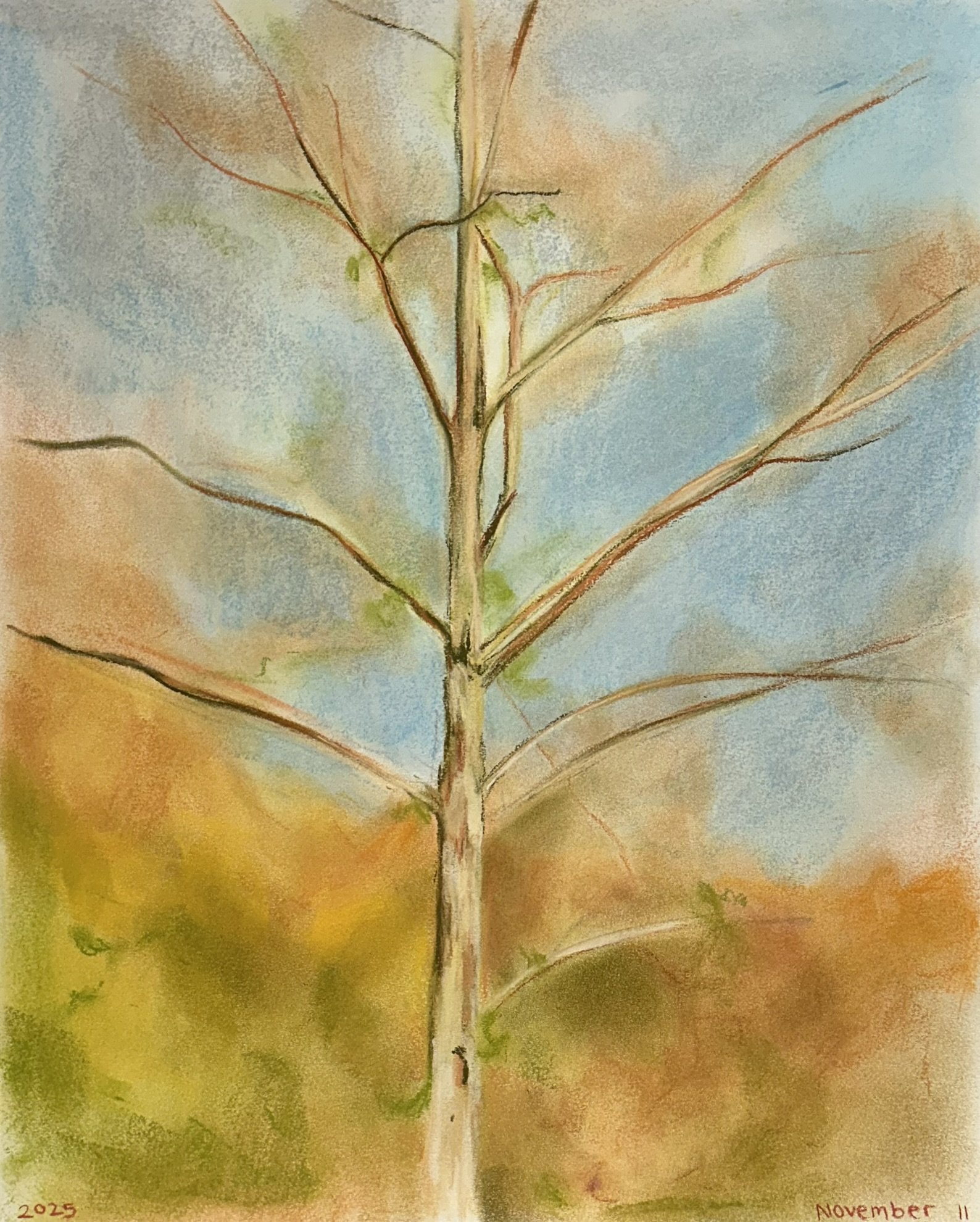 Backyard Tree (4) // 14"x17" // Chalk Pastel on Paper // November 2025