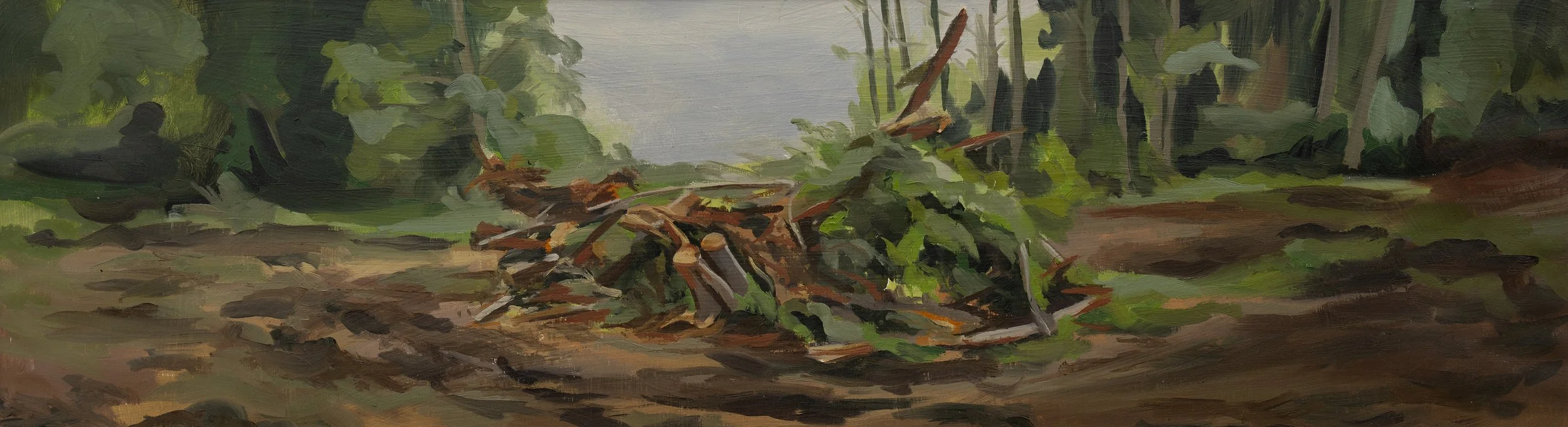 The Greenbelt // 9"x29" // Oil on Paper // 2024 // Inspired by the greenbelt along the side of my house... or what was left of it.