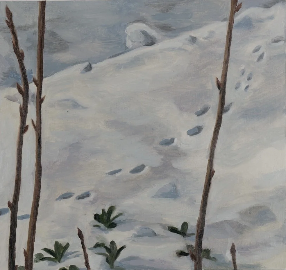 Snow Prints // 9"x9 1/2" // Oil on Paper, Study // February 3rd, 2025