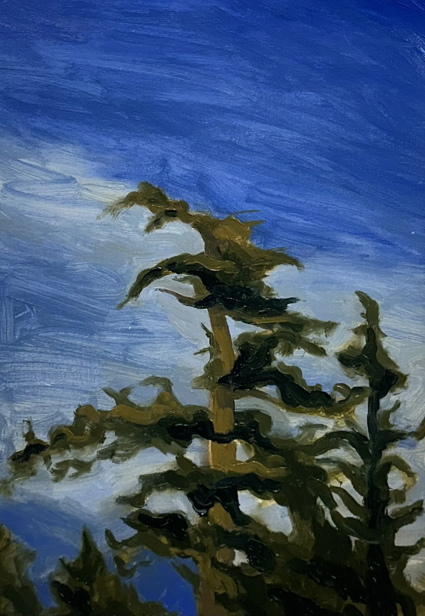 Eagle tree // 7"x10 1/2" // Oil on Paper // January 20th, 2026